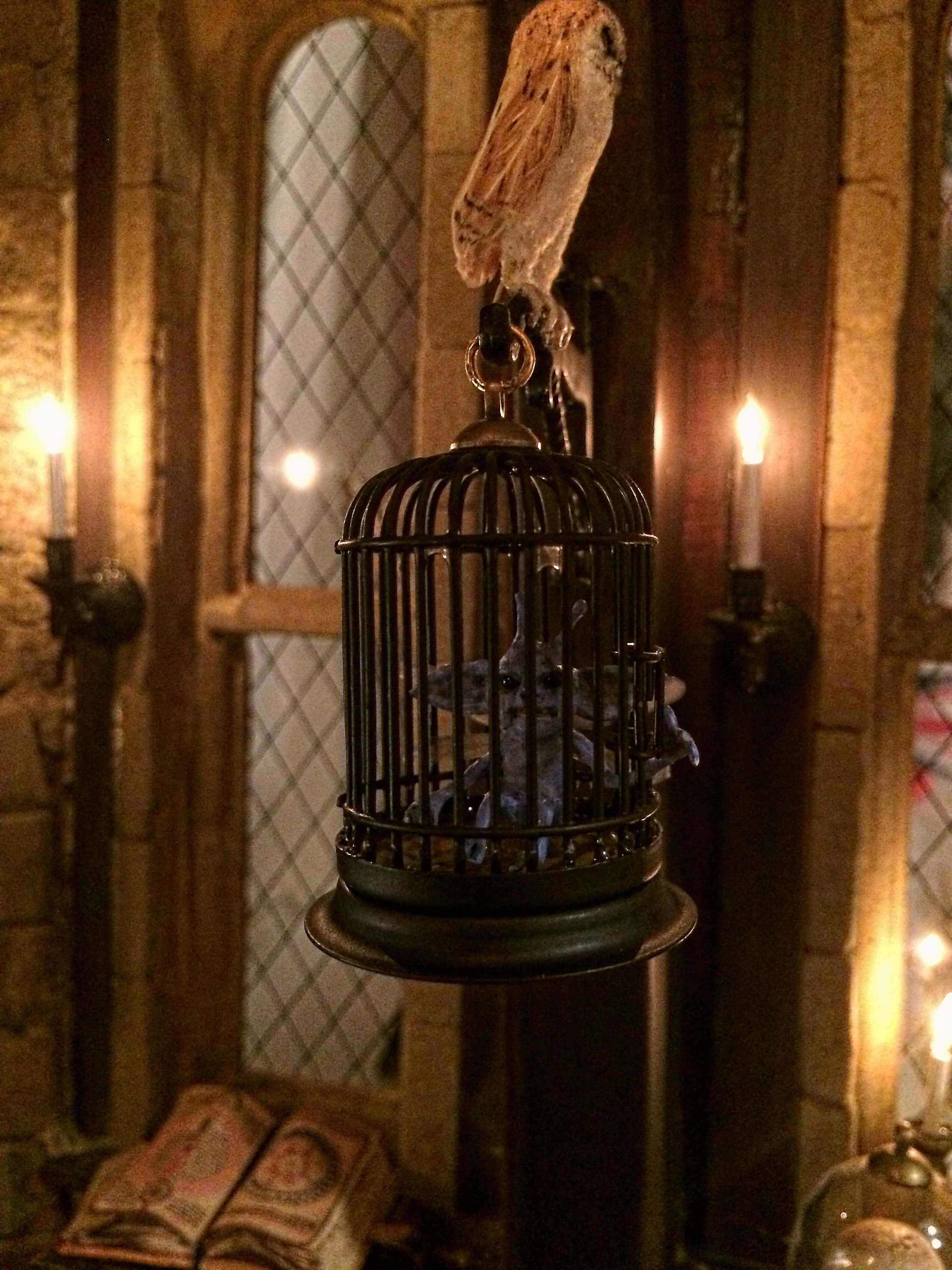 Take a tour of the mysterious Hogwarts Dark Arts classroom Picha ya Ukuta