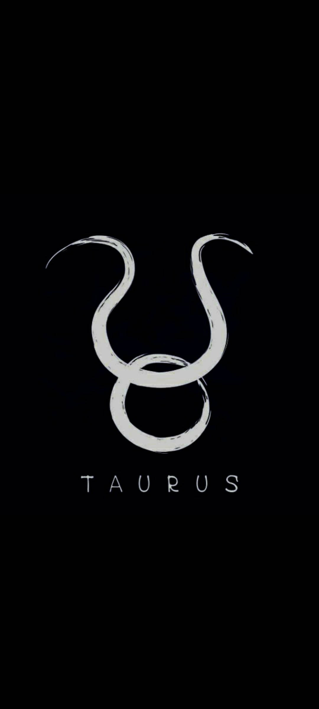 Taurus Gray Symbol Brush Picha ya Ukuta