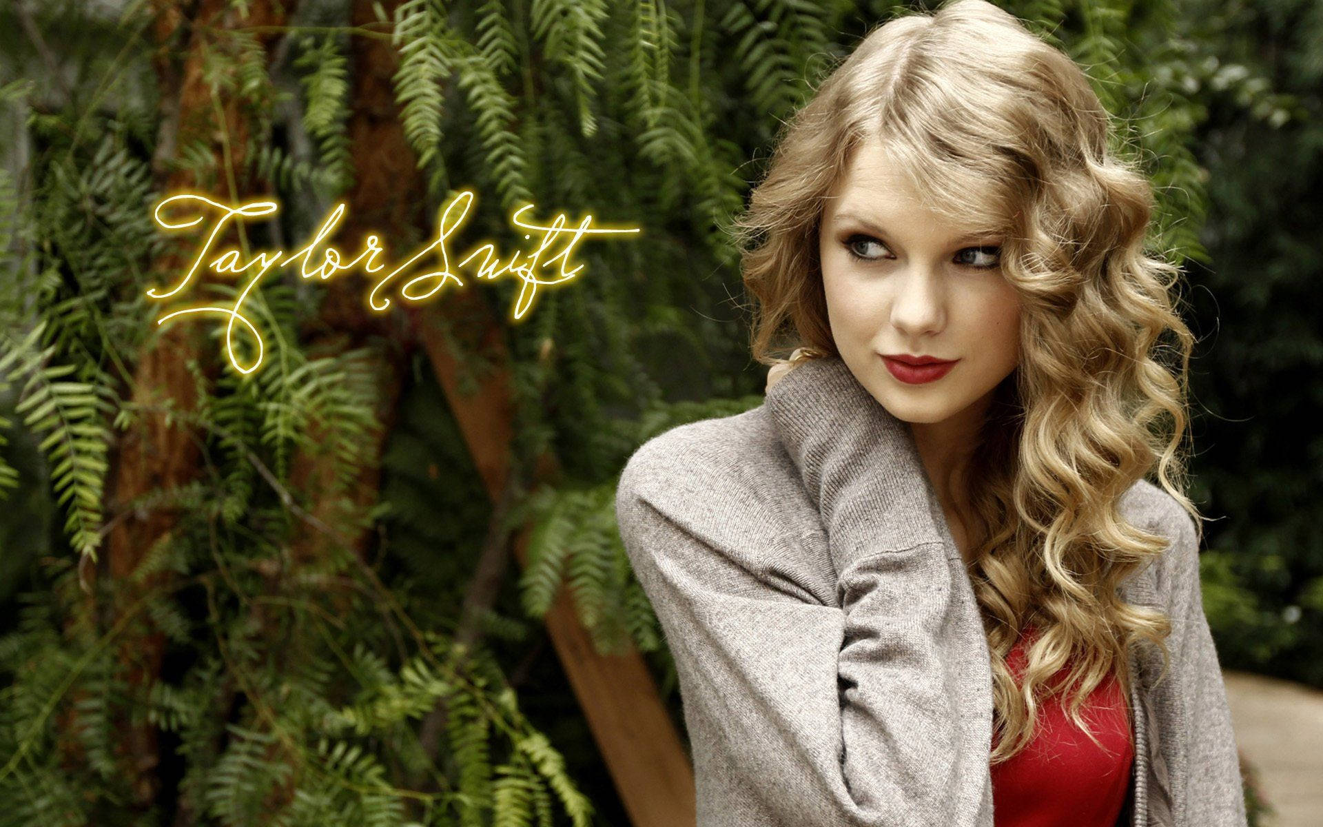 Taylor Swift Moja kwa Moja Jukwaani Picha ya Ukuta