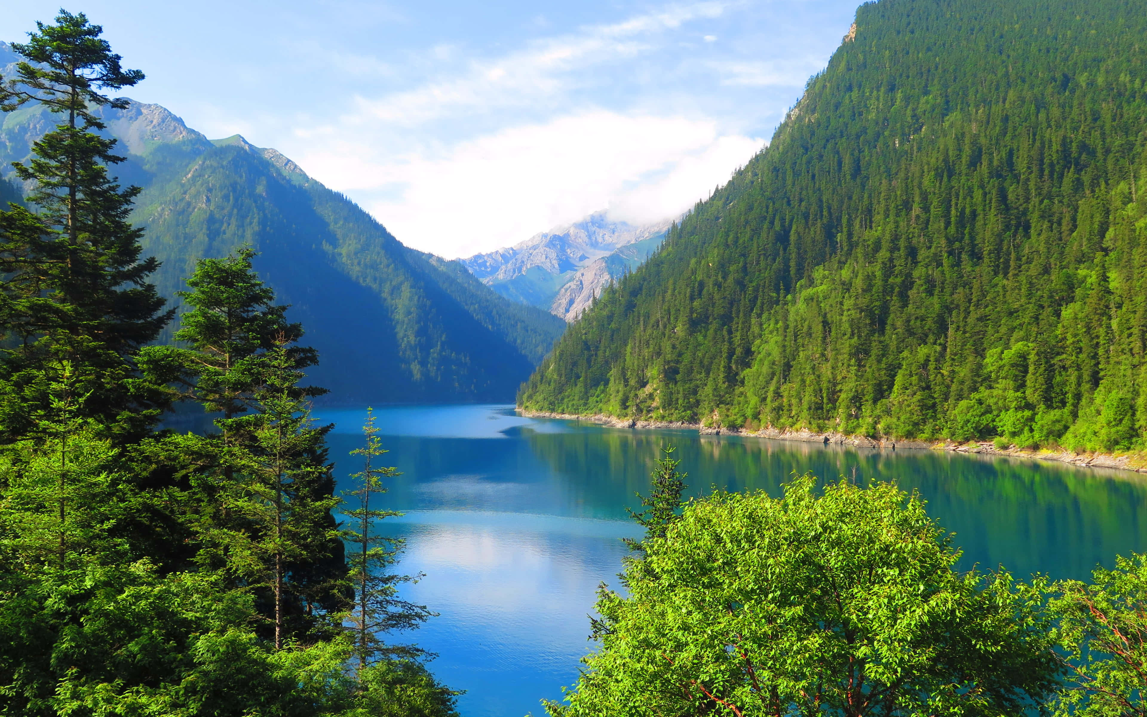 "Tazama Uzuri wa Natura" Picha ya Ukuta