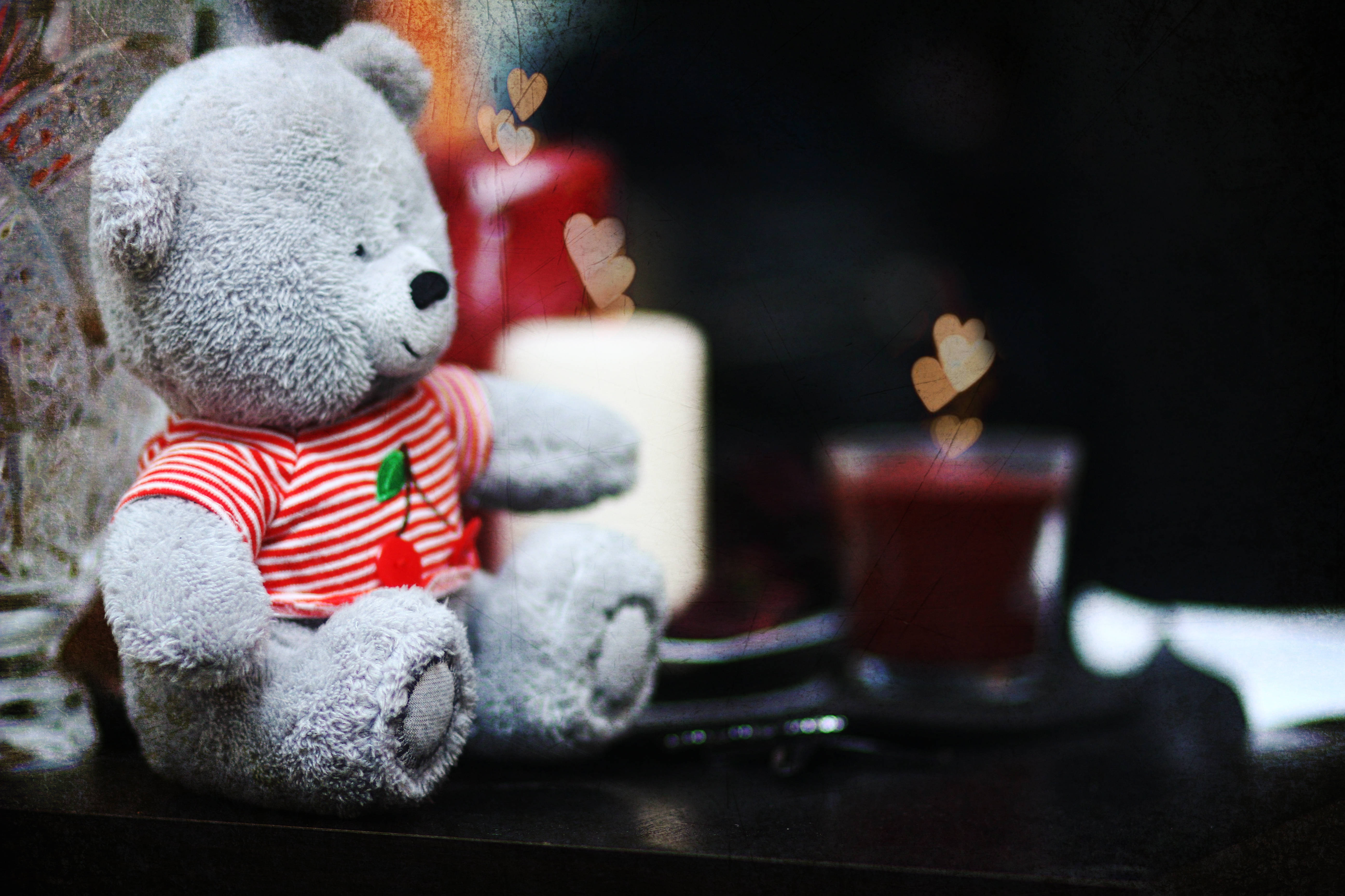 Teddy Bear wa Kijivu Mzuri Picha ya Ukuta