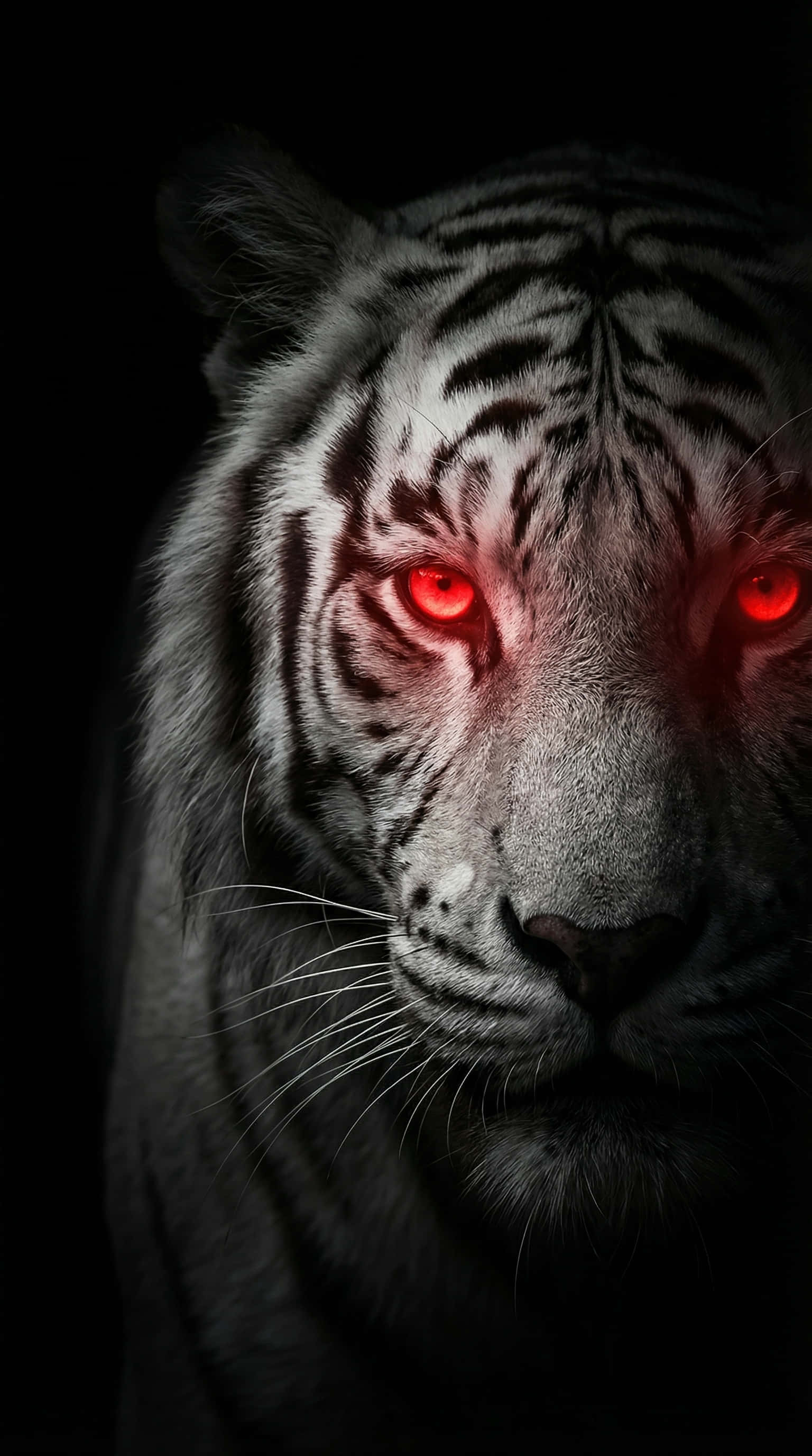 Tembea Mwekundu Inayong'aa ya Tiger Mweupe 4K Picha ya Ukuta