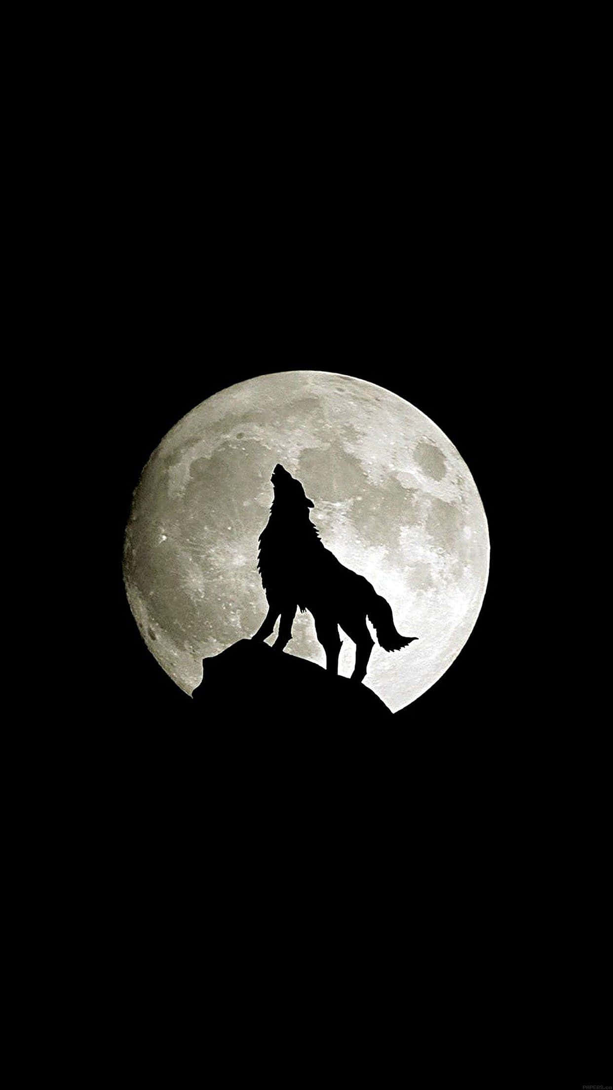 Tembea porini na Wolf iPhone Picha ya Ukuta