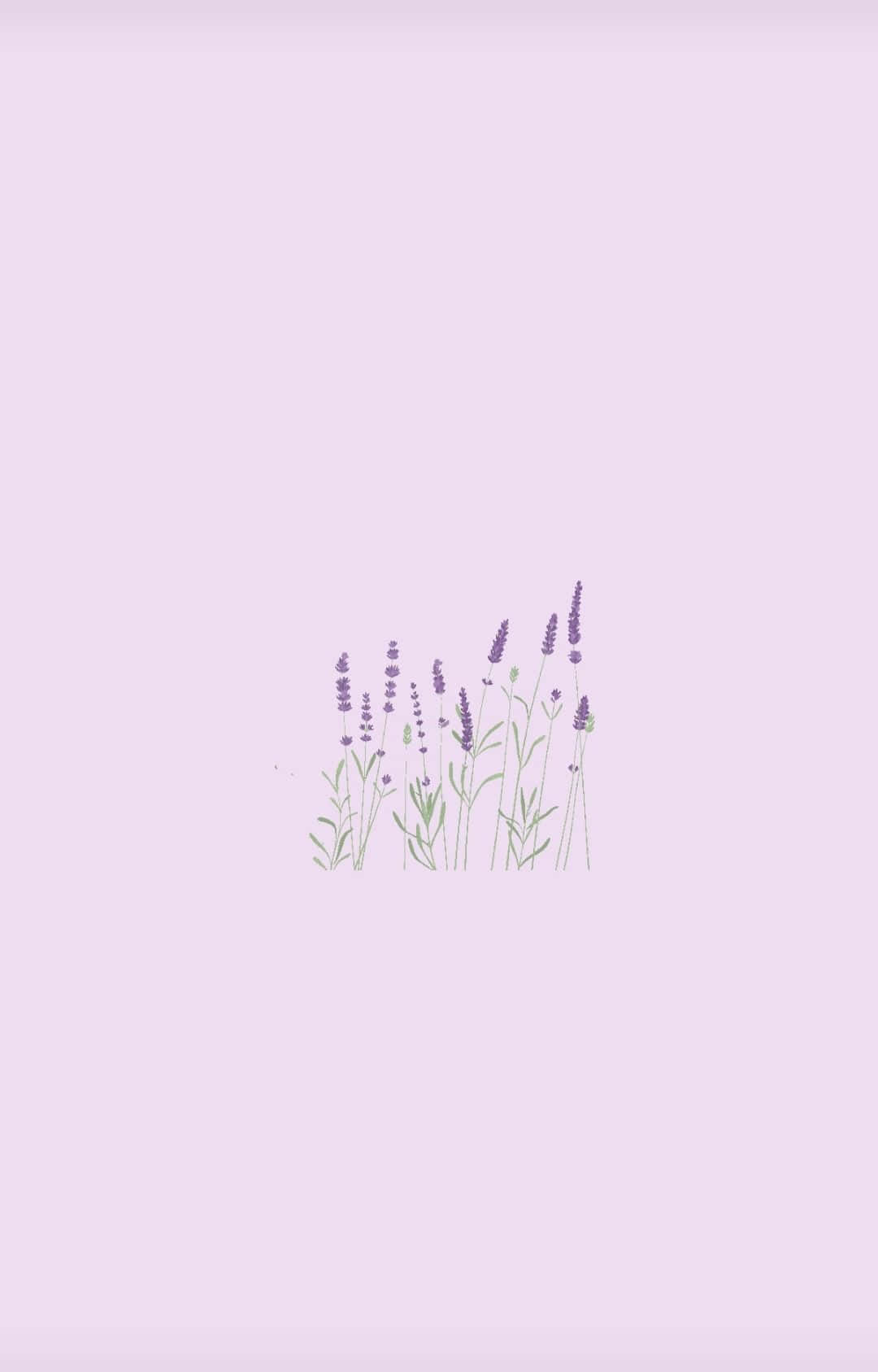 "The Alluring Color of Lilac" Picha ya Ukuta
