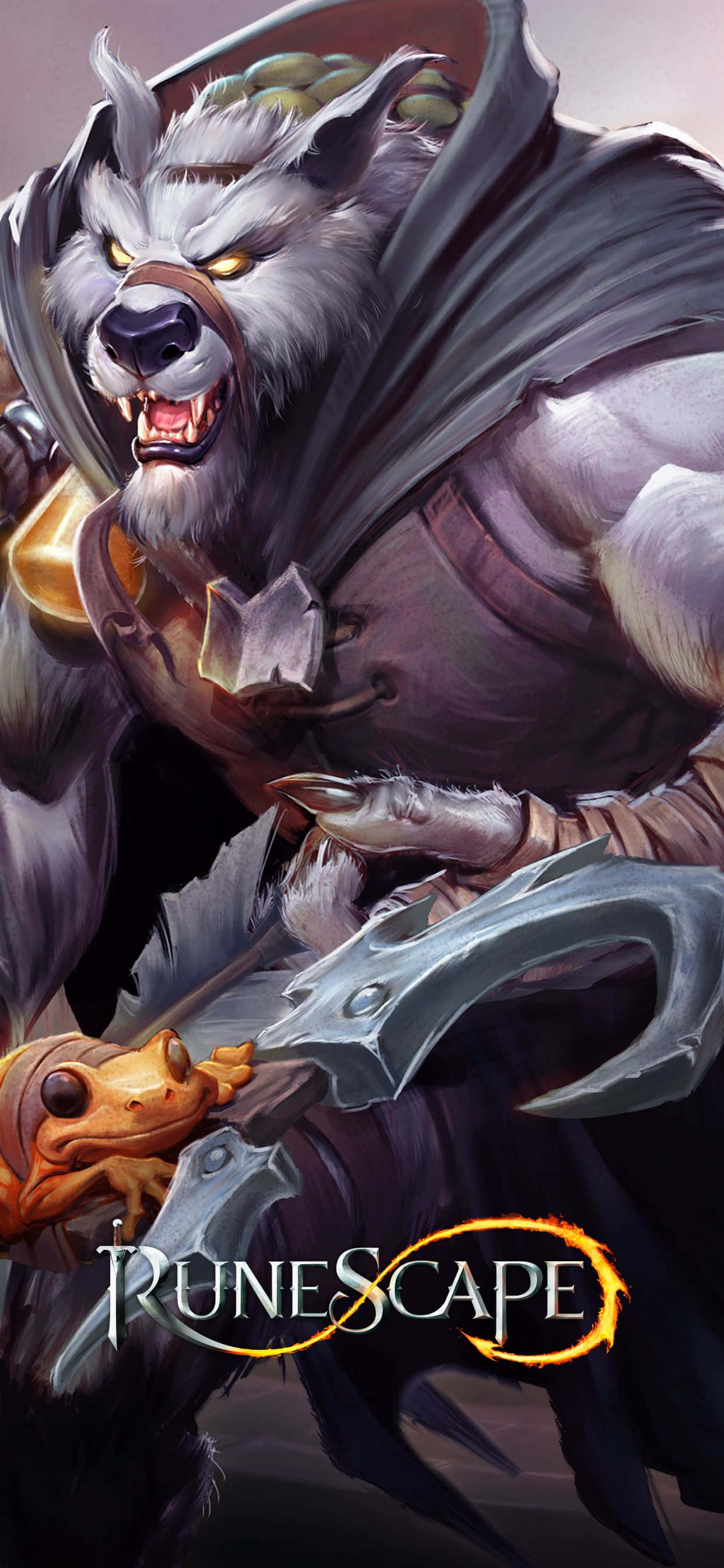 the cover of runescape Picha ya Ukuta