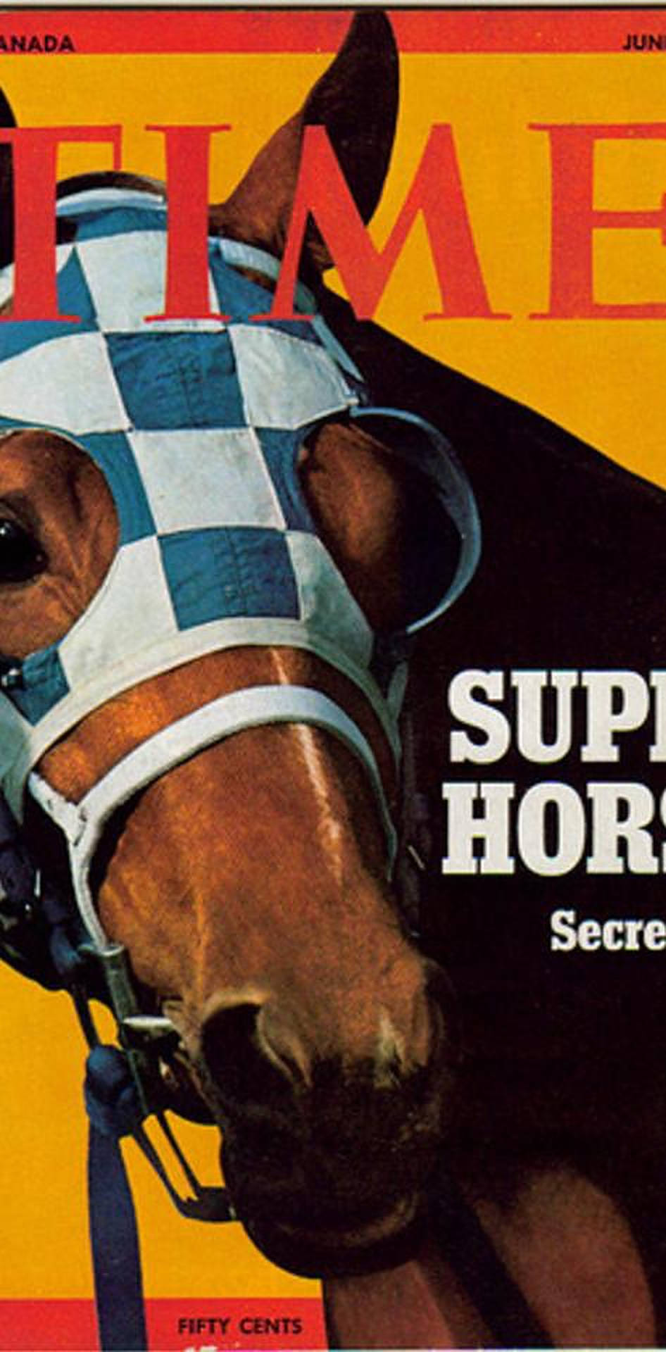 The Legendary Secretariat in Full Stride Picha ya Ukuta