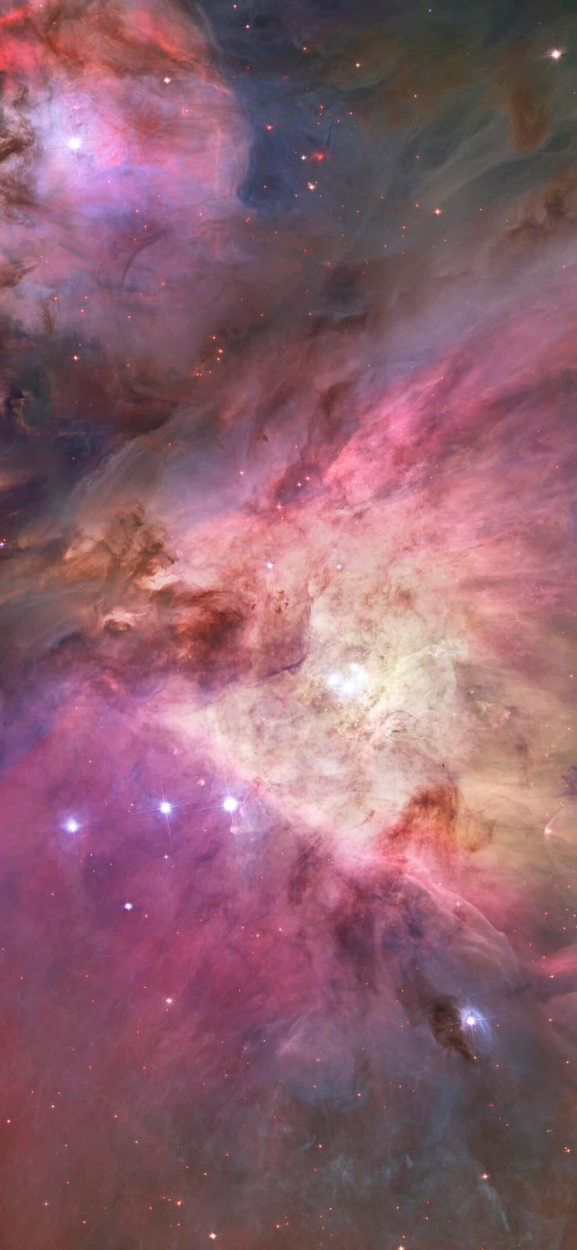 The stunning Orion constellation against a sea of stars. Picha ya Ukuta