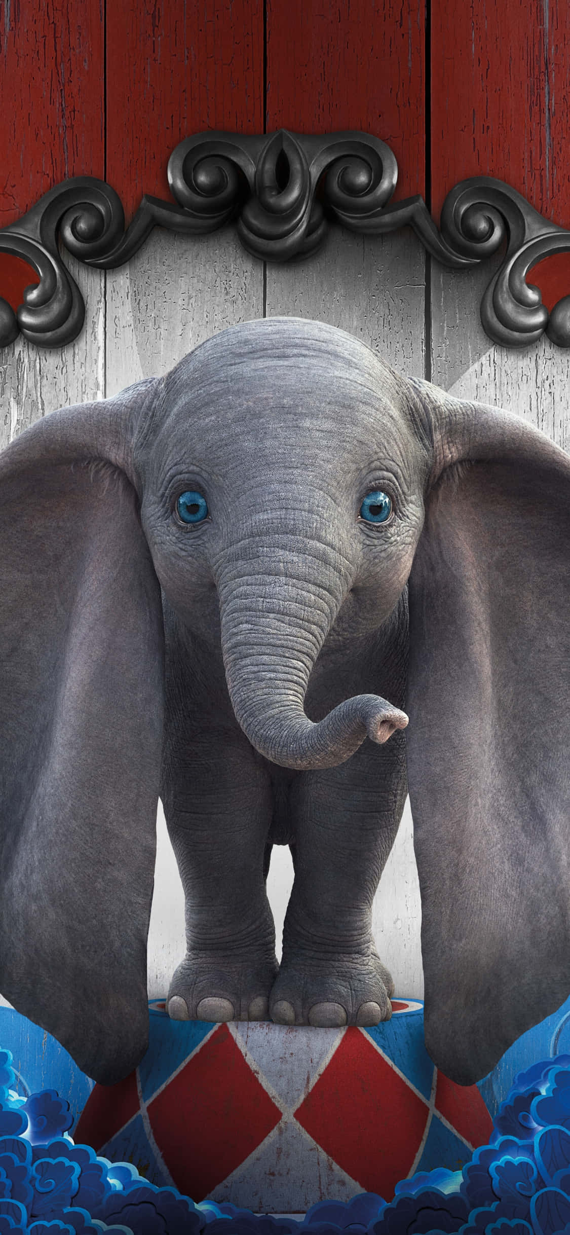 This little cutie is ready to brighten up your day! Picha ya Ukuta