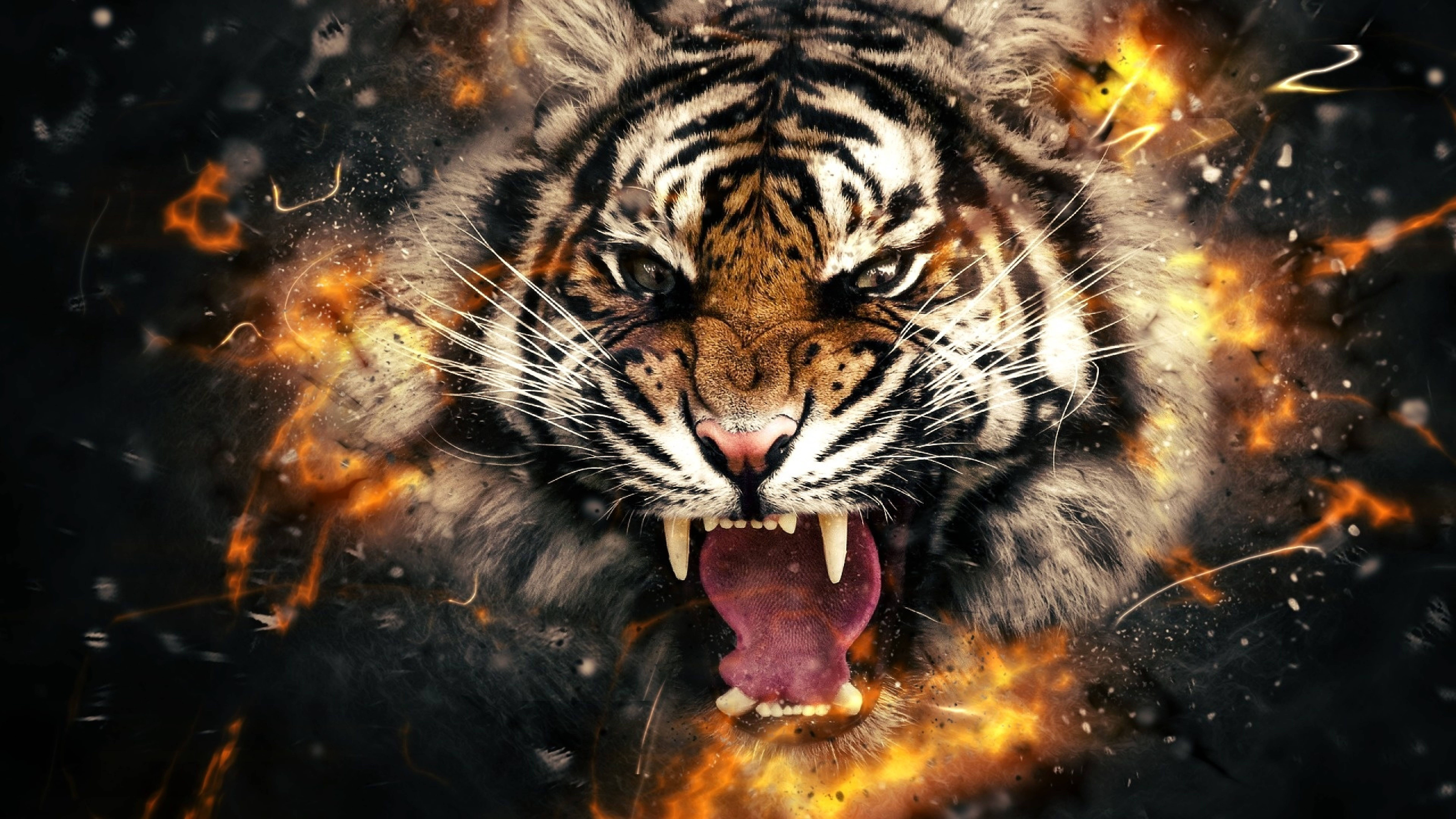 Tiger 8K Furious UHD Picha ya Ukuta
