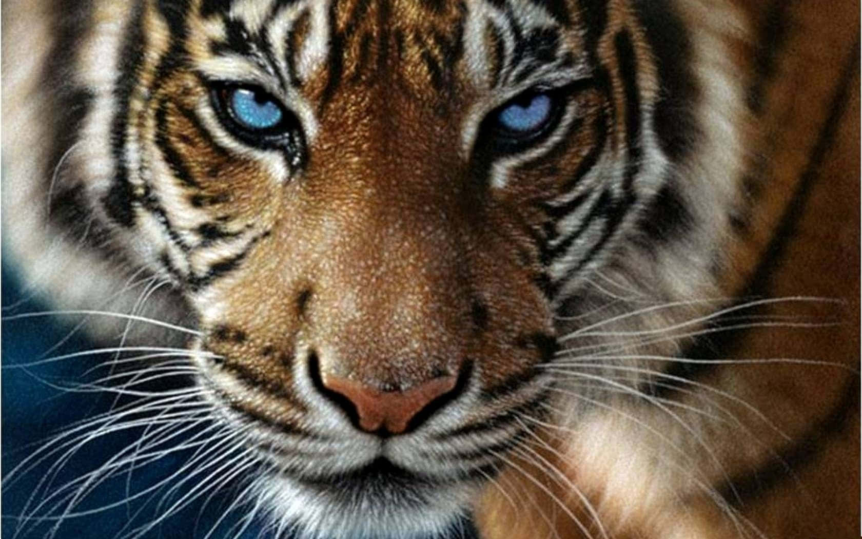 Tiger mwitu mkuu katika makazi yake ya asili Picha ya Ukuta