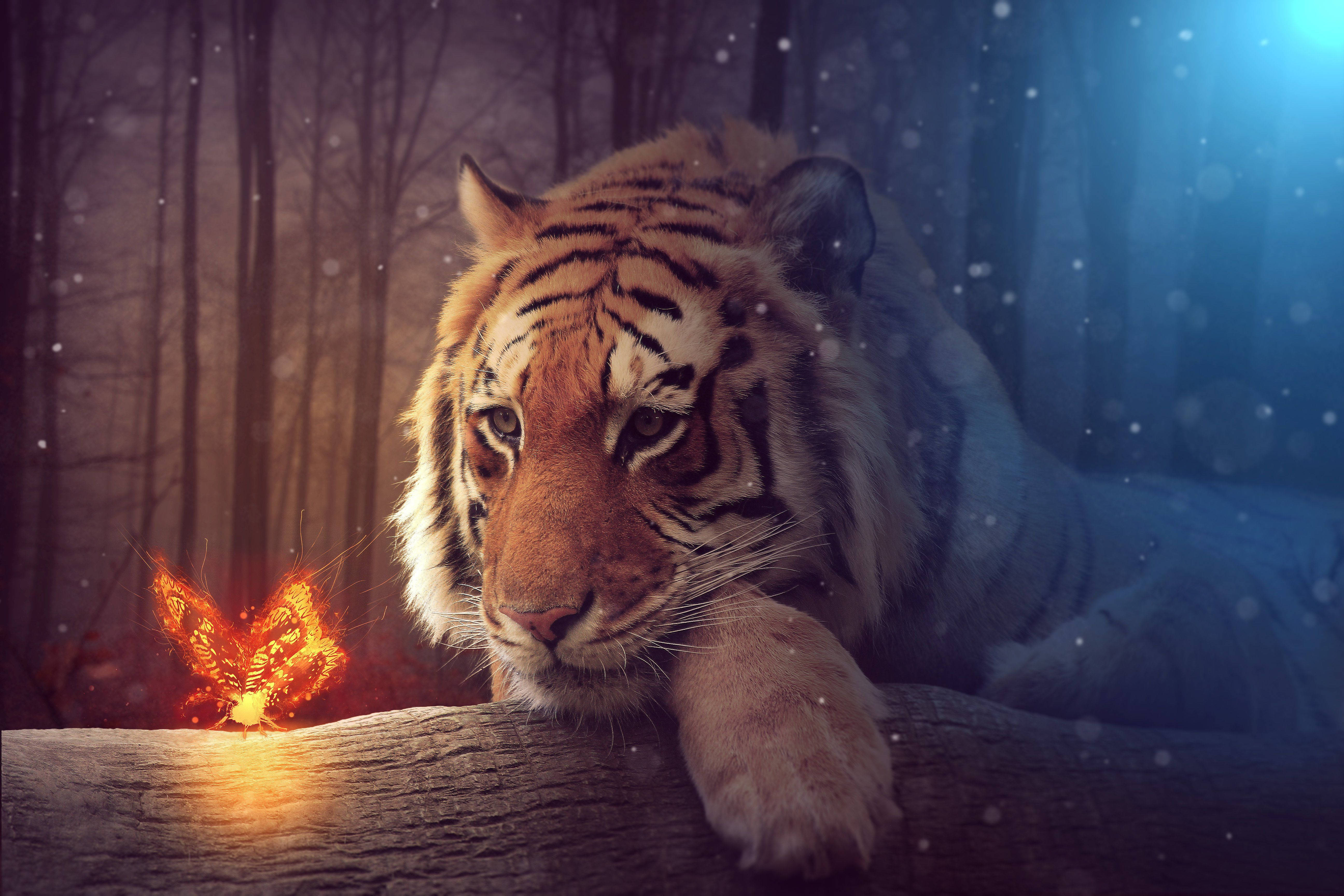 Tiger na Kipepeo Inayong'aa Picha ya Ukuta