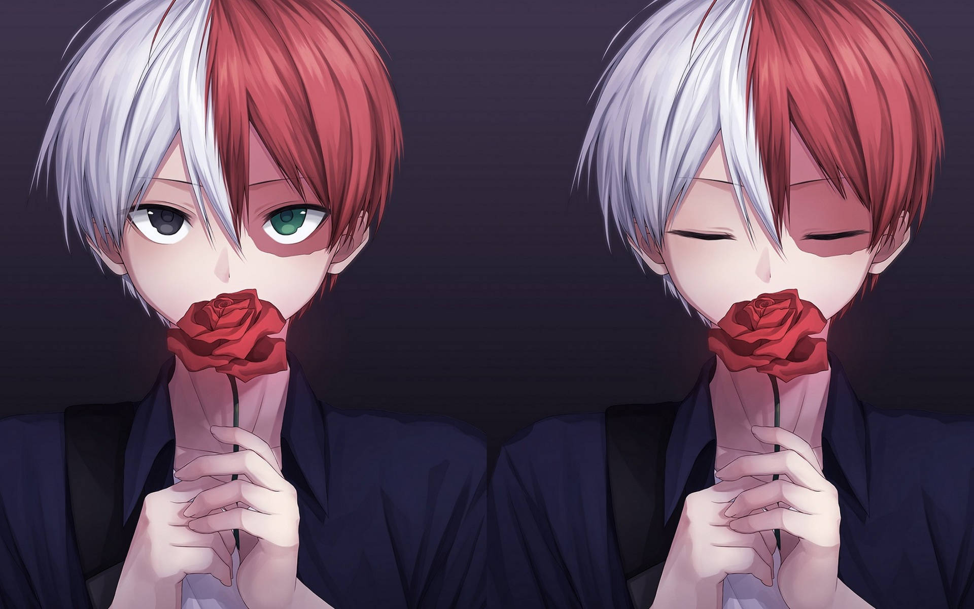 Todoroki Mzuri Anayepeana Rose Nyekundu Picha ya Ukuta