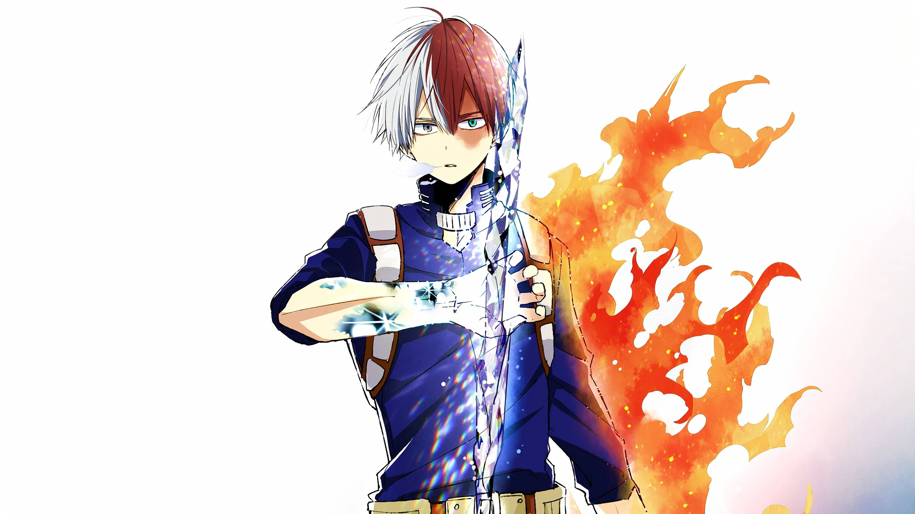Todoroki Mzuri Nusu Baridi Nusu Sumbu Picha ya Ukuta