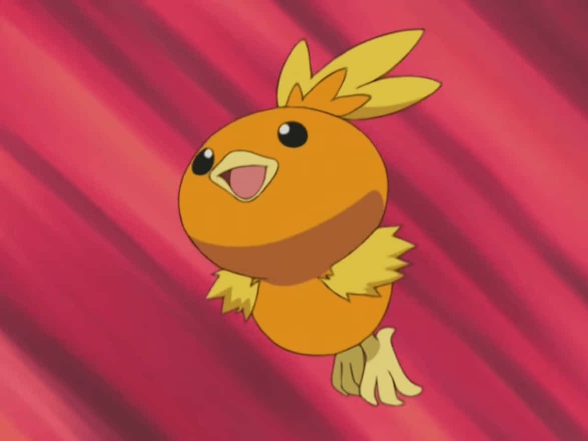 Torchic Akiruka na Mandharinyuma Nyekundu Picha ya Ukuta
