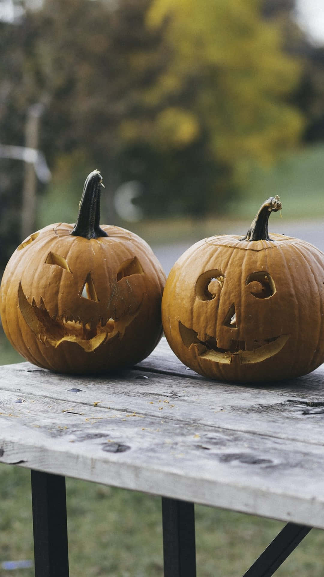 Trick or Treat! Jisimu na roho ya Halloween kwa mwonekano huu wa ajabu Picha ya Ukuta