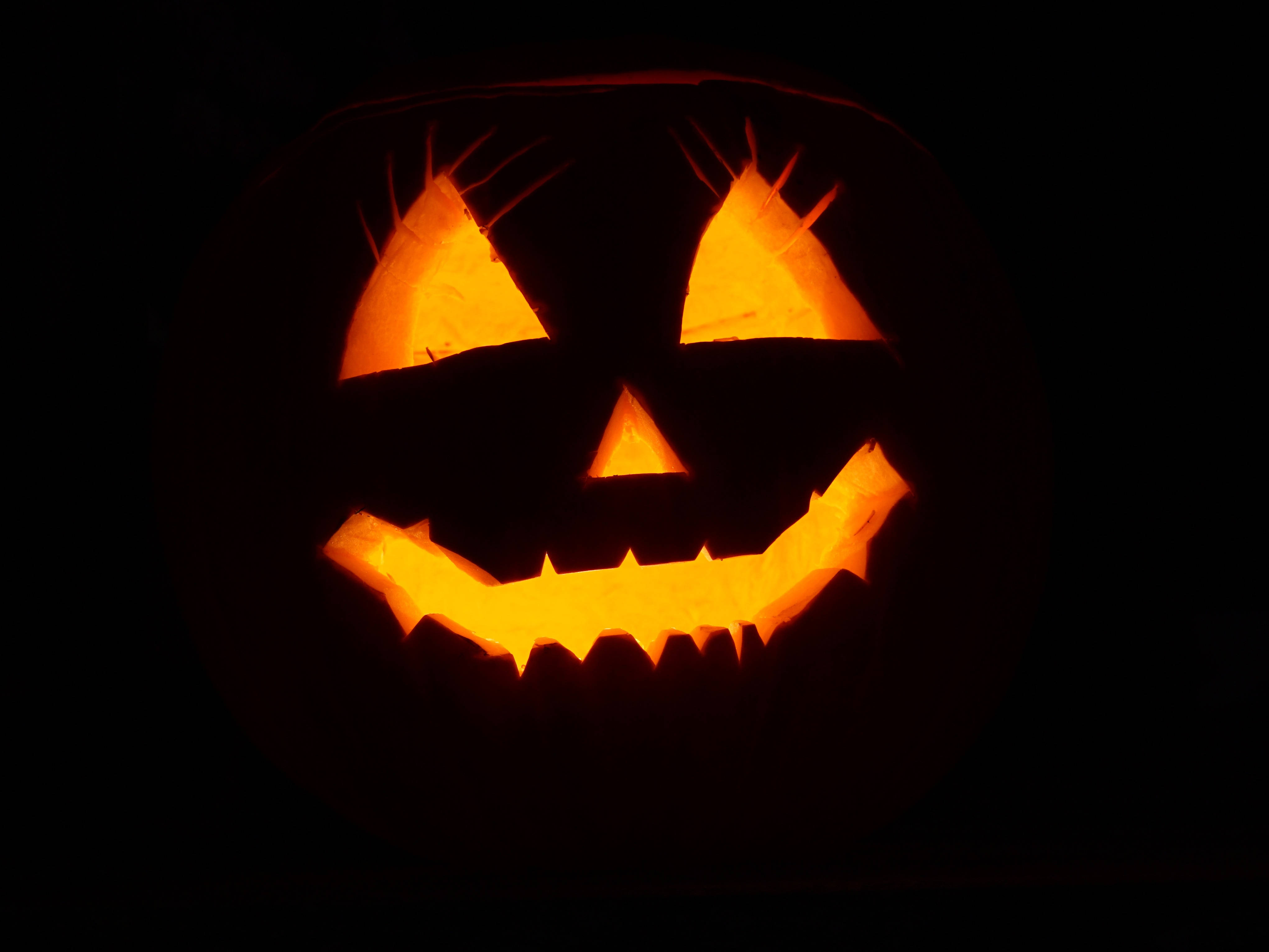 Trick or Treat - Sherehekea Halloween na Boga Nyeusi Picha ya Ukuta