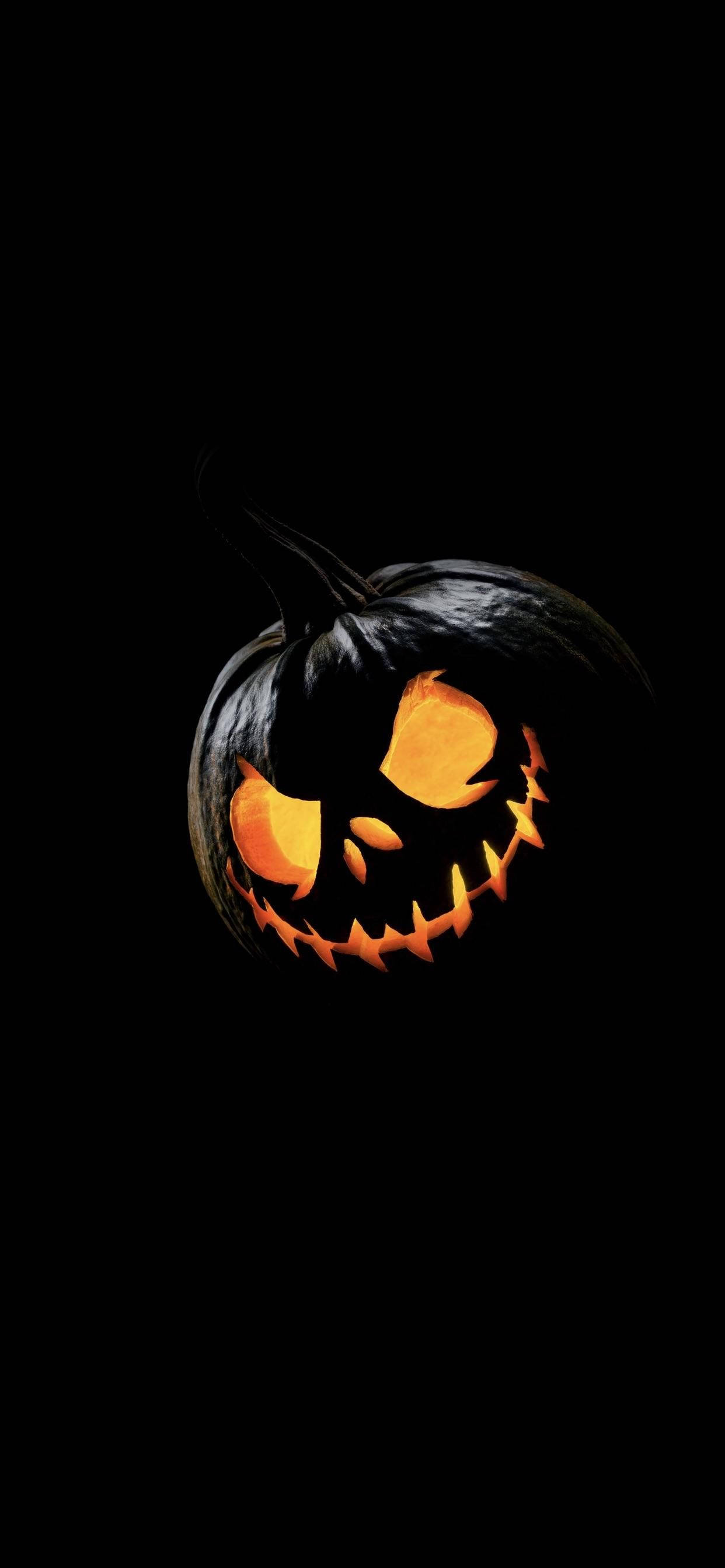 Trick or treat! Picha ya Ukuta