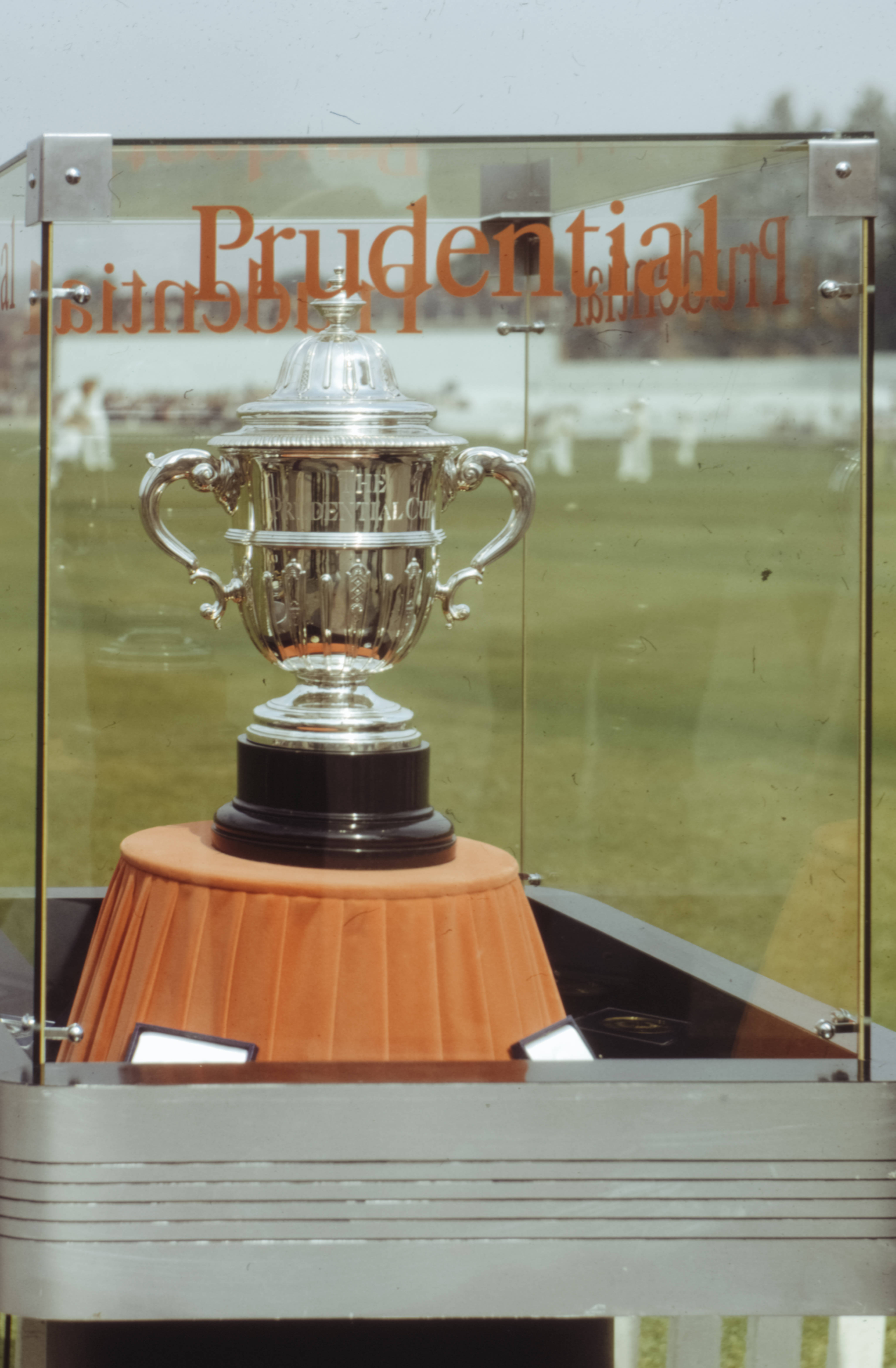 Trophy ya Cricket ya Fedha ya Kifahari Picha ya Ukuta