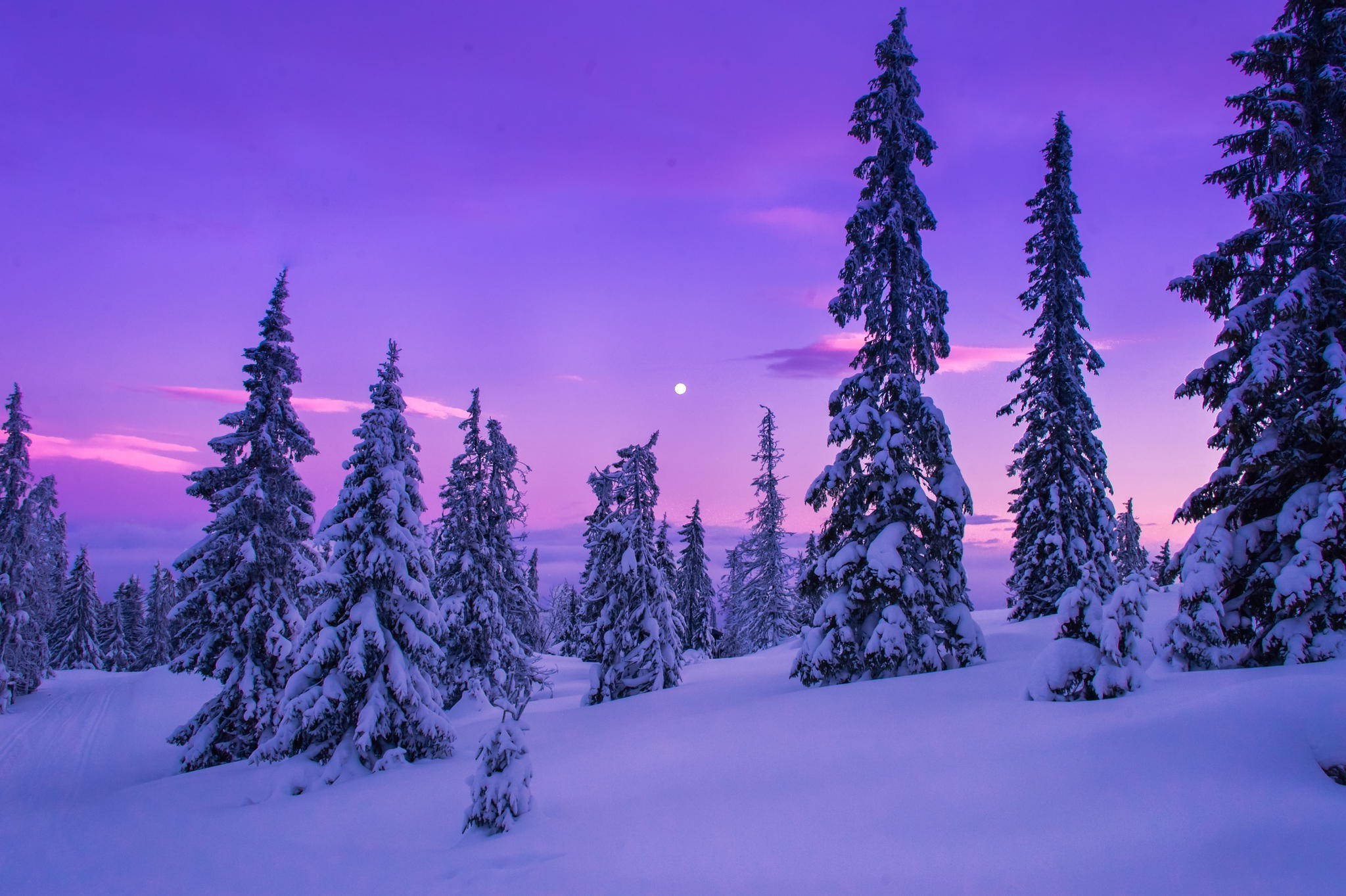 Twilight Theluji Aesthetic Picha ya Ukuta