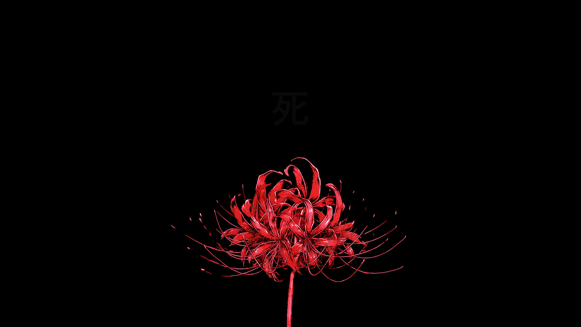 Ua la Vonflora Spider Lily Picha ya Ukuta