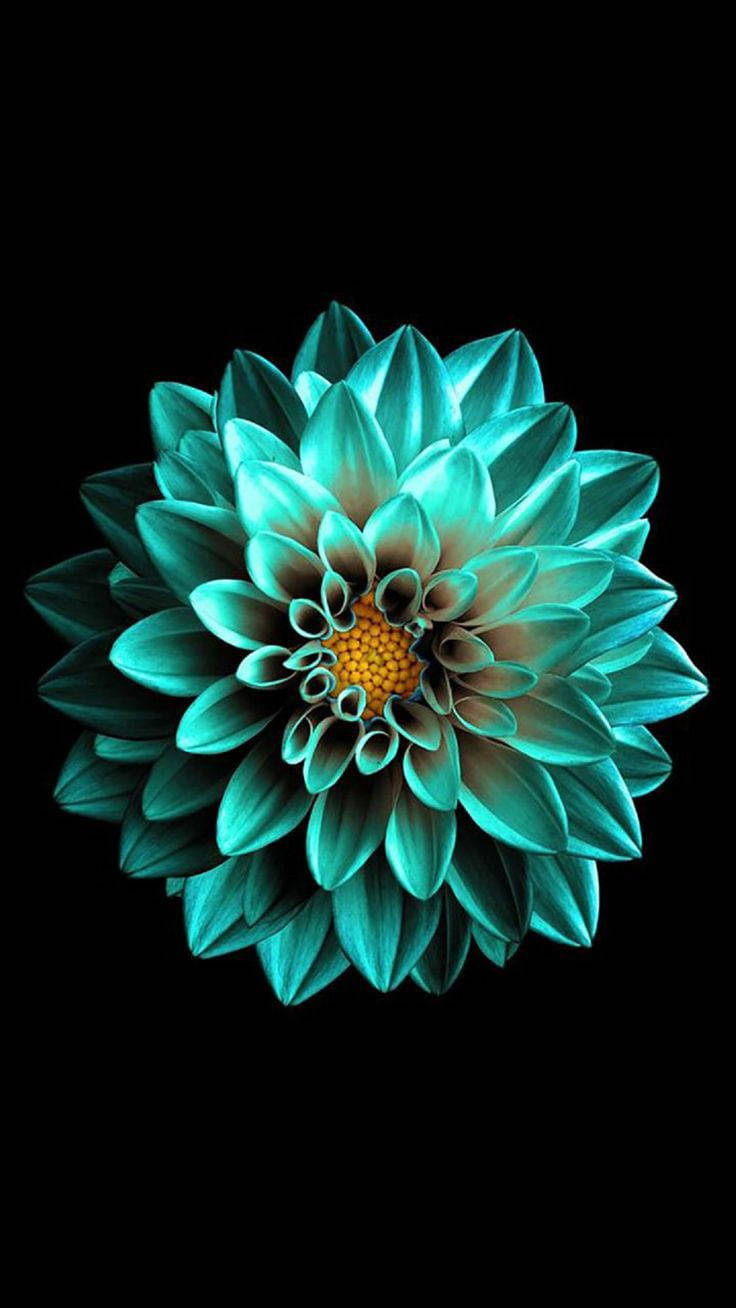 Ua la Zamaradi la Black AMOLED Picha ya Ukuta