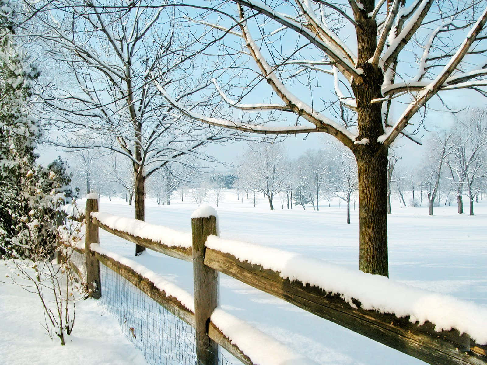 Uchoraji wa Fence ya Msimu wa Baridi New Hampshire Picha ya Ukuta