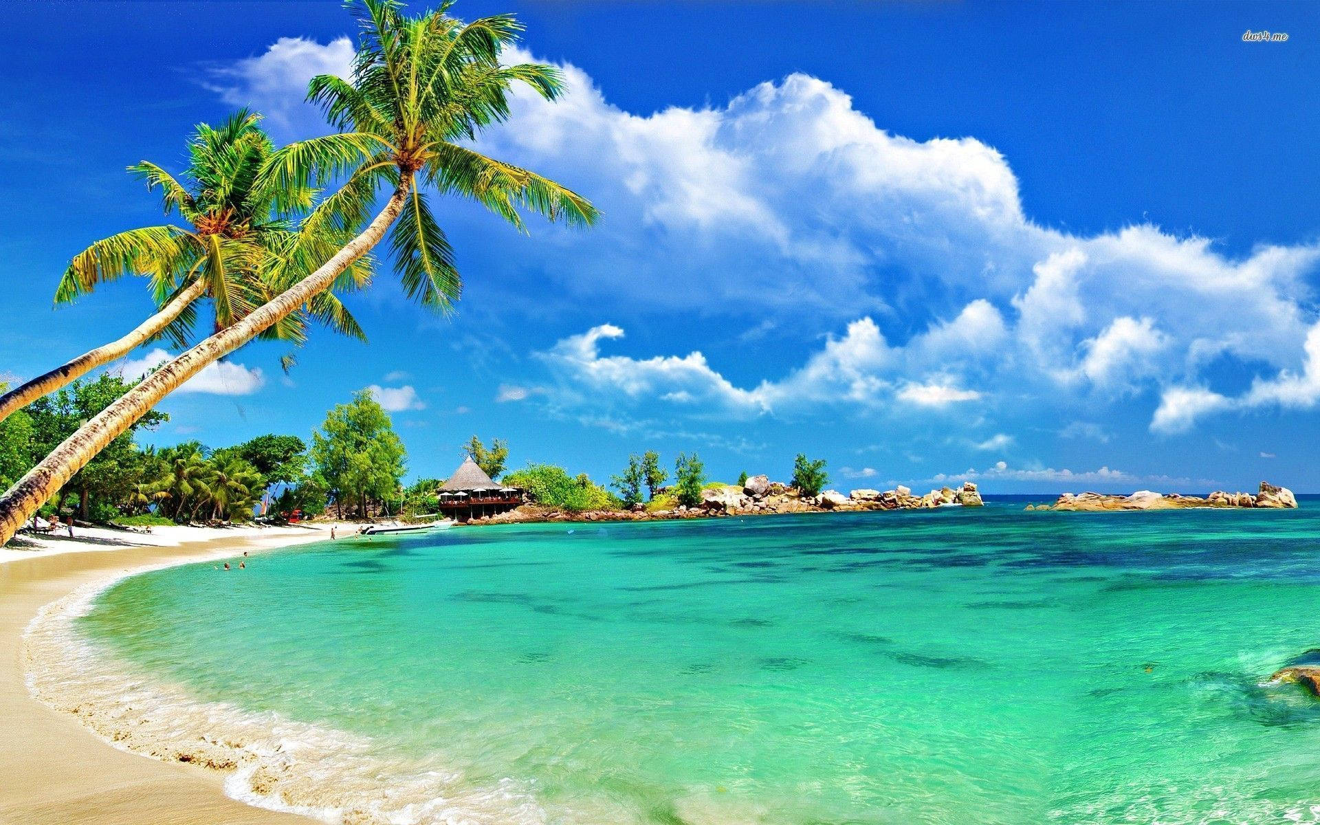 Ufukwe wa Montego Bay ya Kitropiki Picha ya Ukuta