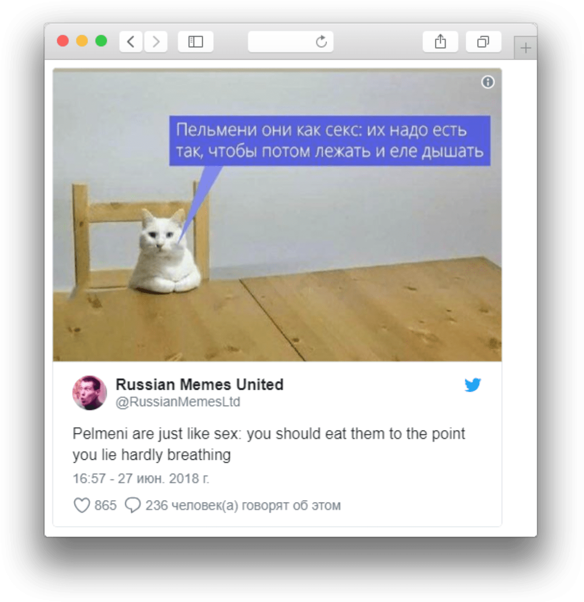 Ulinganisho wa Meme ya Paka wa Kirusi Pelmeni Picha ya Ukuta