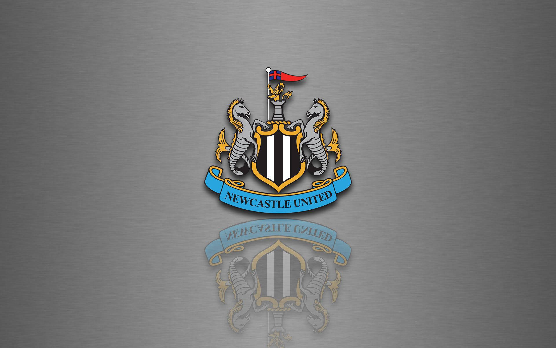 Umati unaovuma unatazama Newcastle United F.C. wakiingia uwanjani! Picha ya Ukuta