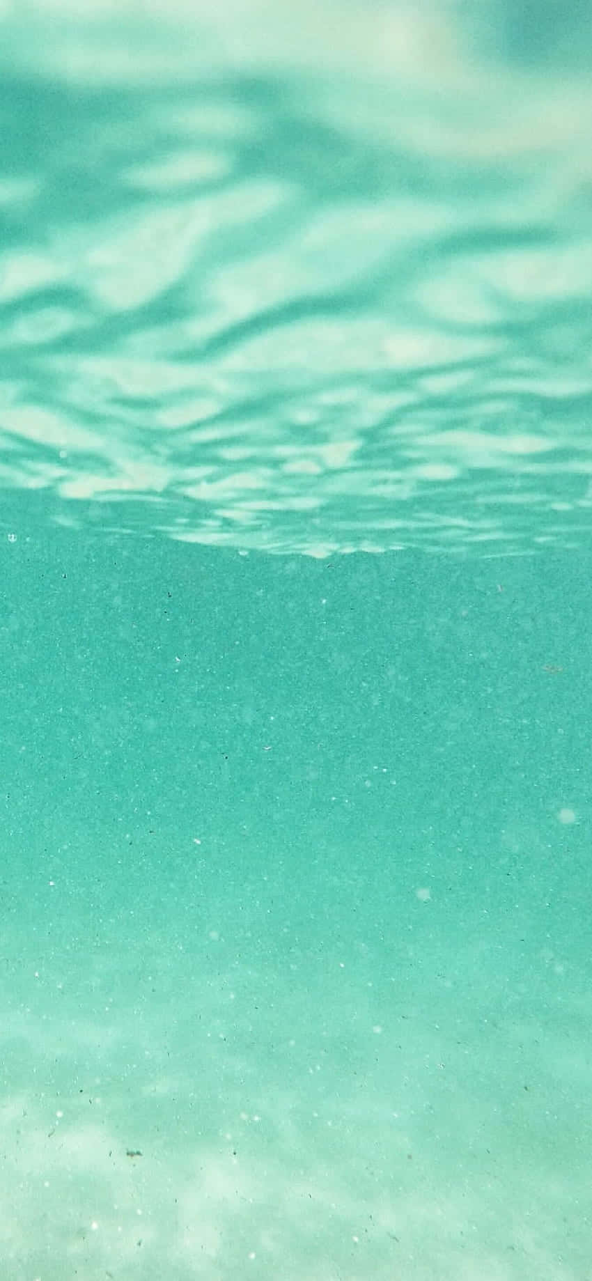 underwater view of the ocean Picha ya Ukuta