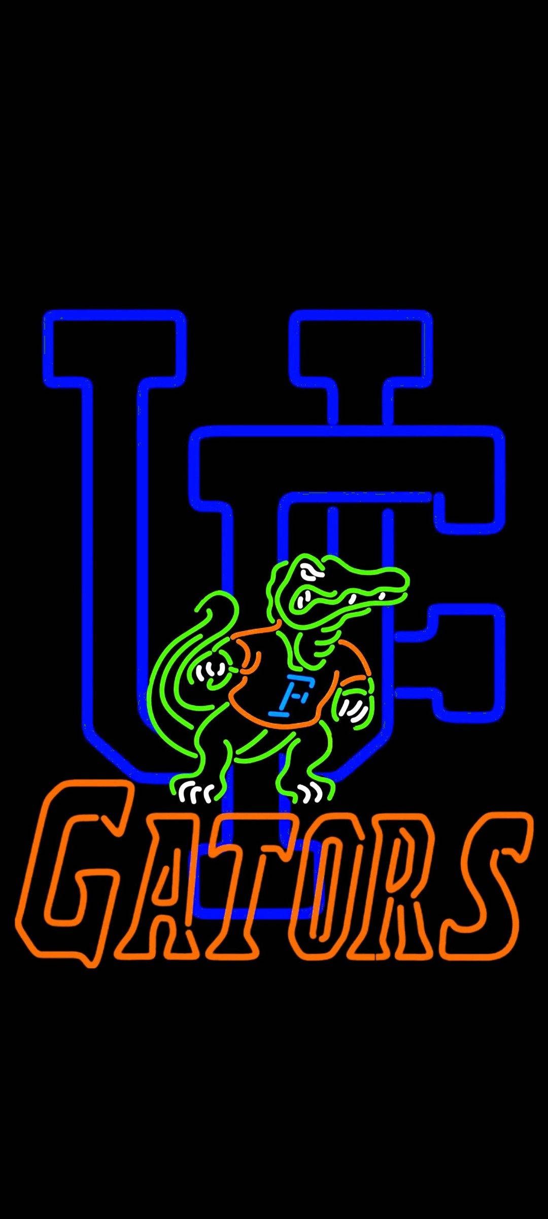 University Of Florida Gators Neon Lights Picha ya Ukuta