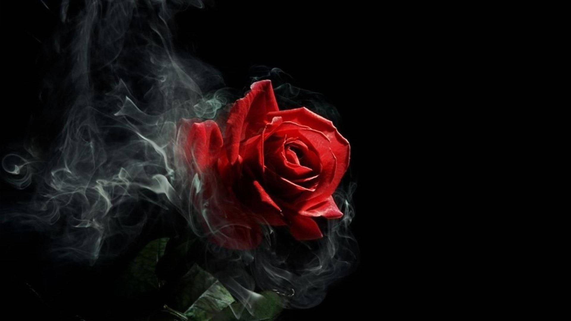 Uondoaji wa Mvuke wa Rose wa Gothic Picha ya Ukuta