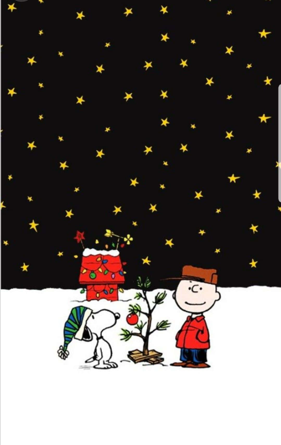 Usiku wa Krismasi Wenye Nyota wa Charlie Brown Picha ya Ukuta