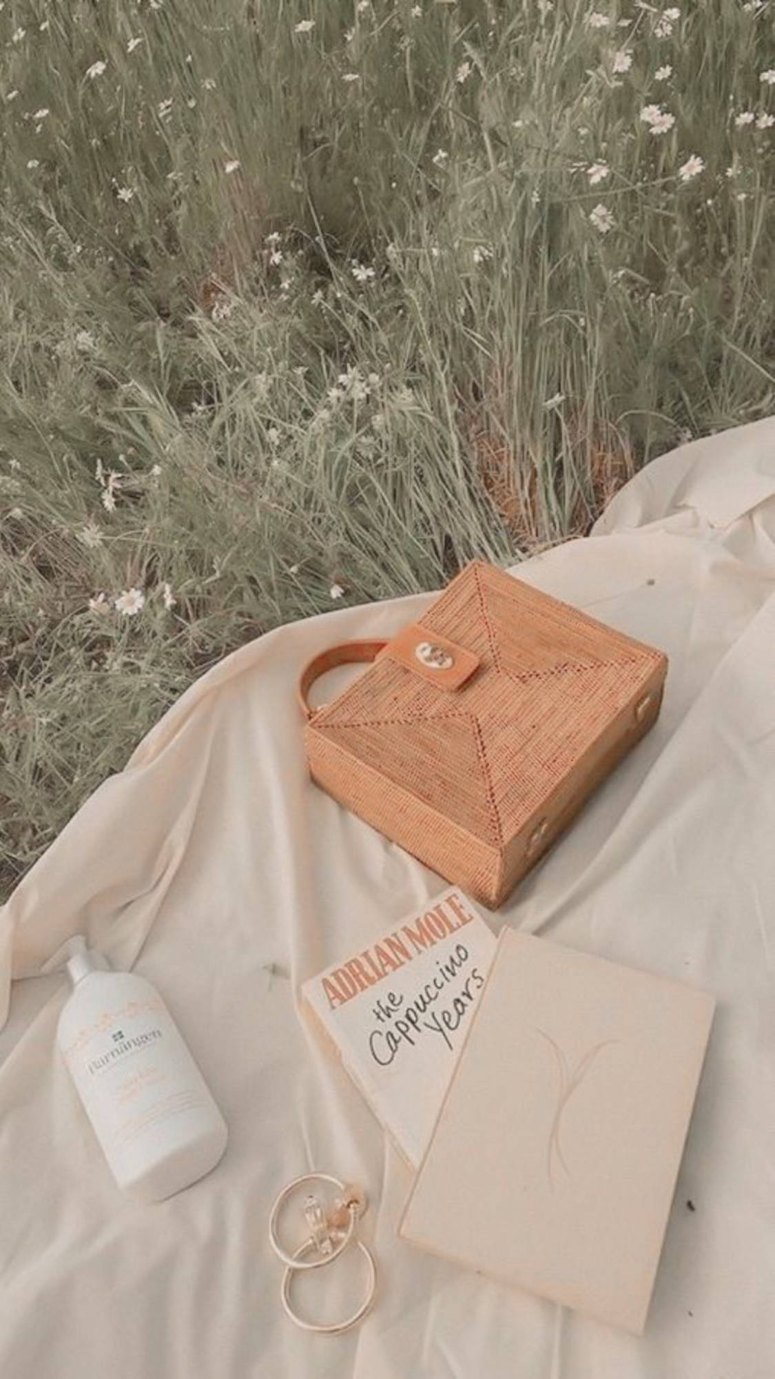 Ustadi wa Kifahari - Mkoba na Kitabu cha Aesthetic ya Beige Picha ya Ukuta