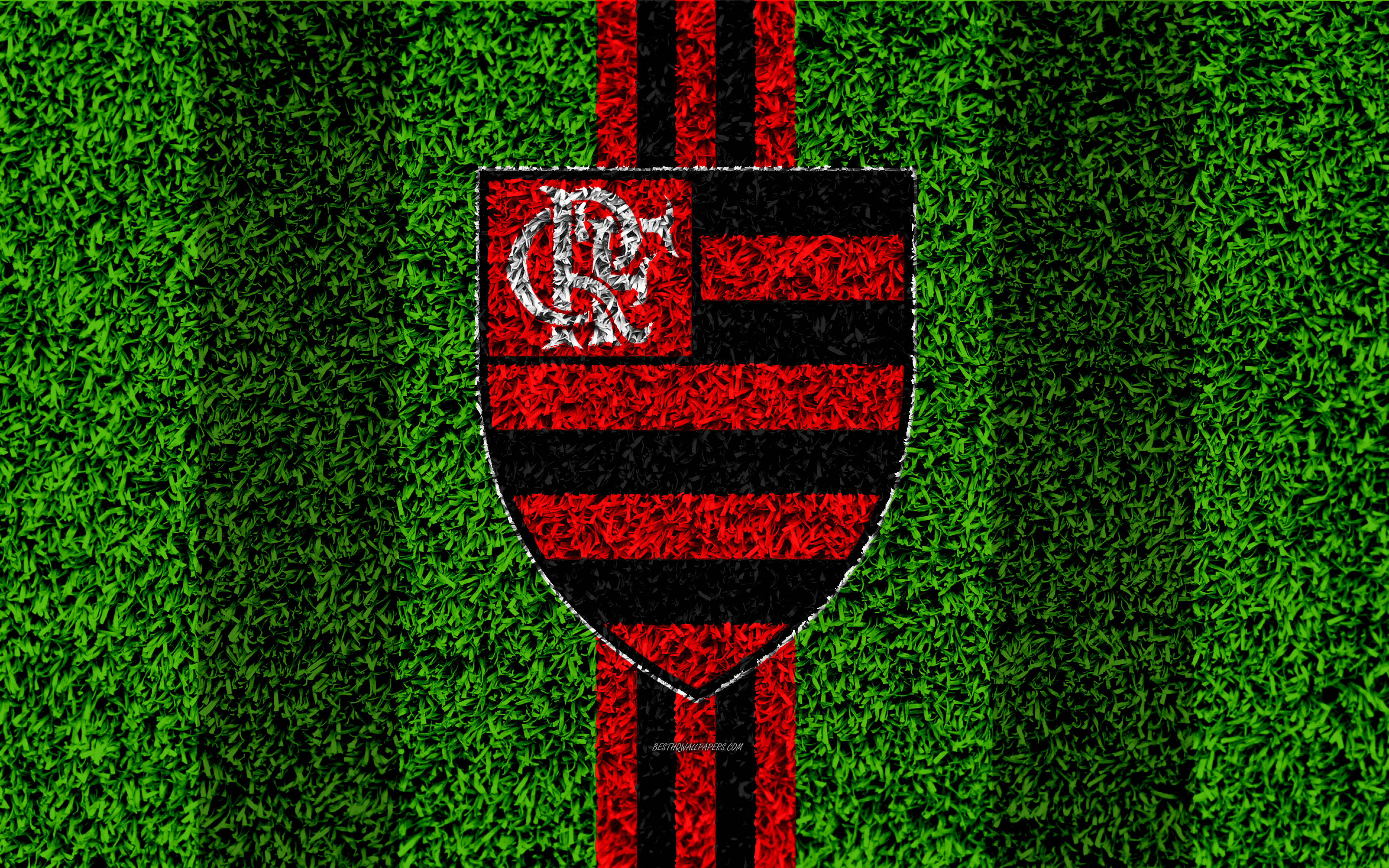 Uwanja wa Nyasi Flamengo FC Picha ya Ukuta