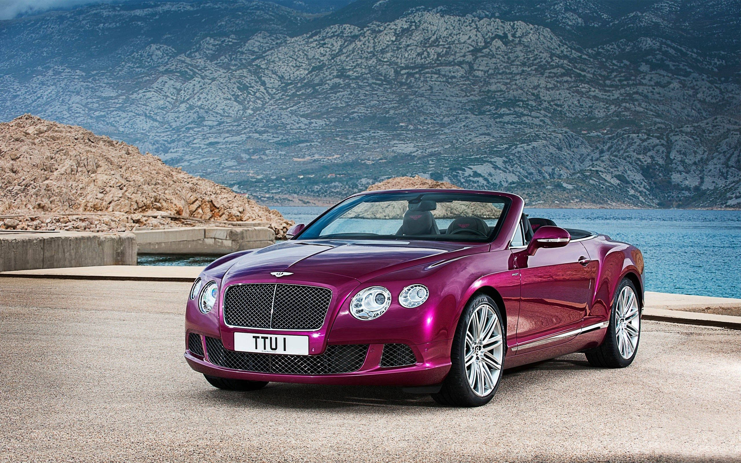 Uwiano wa Kikale katika Bentley Continental GT 2014 Picha ya Ukuta