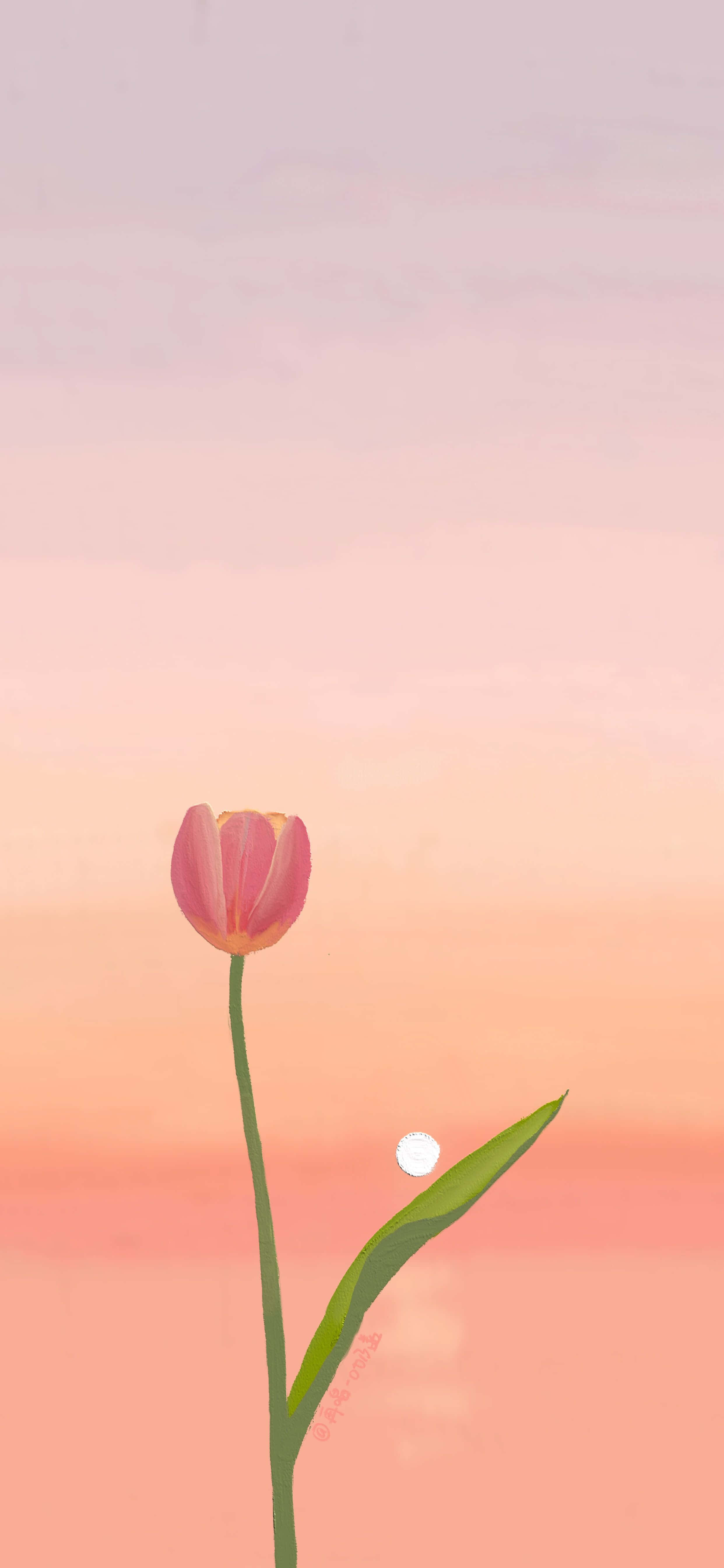 Uzuri wa Tulips Picha ya Ukuta