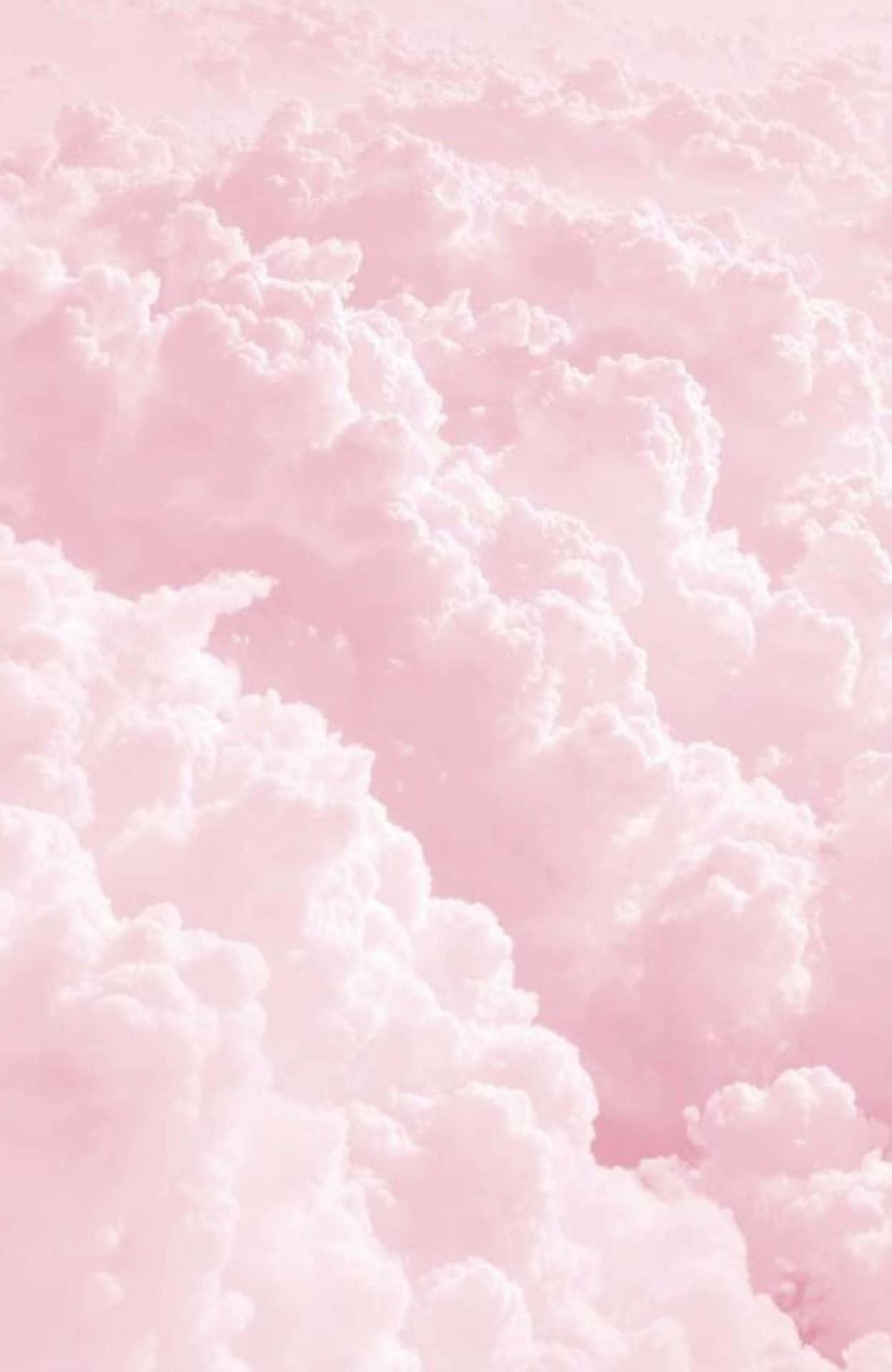 Uzuri wa Waridi wa Pastel Picha ya Ukuta
