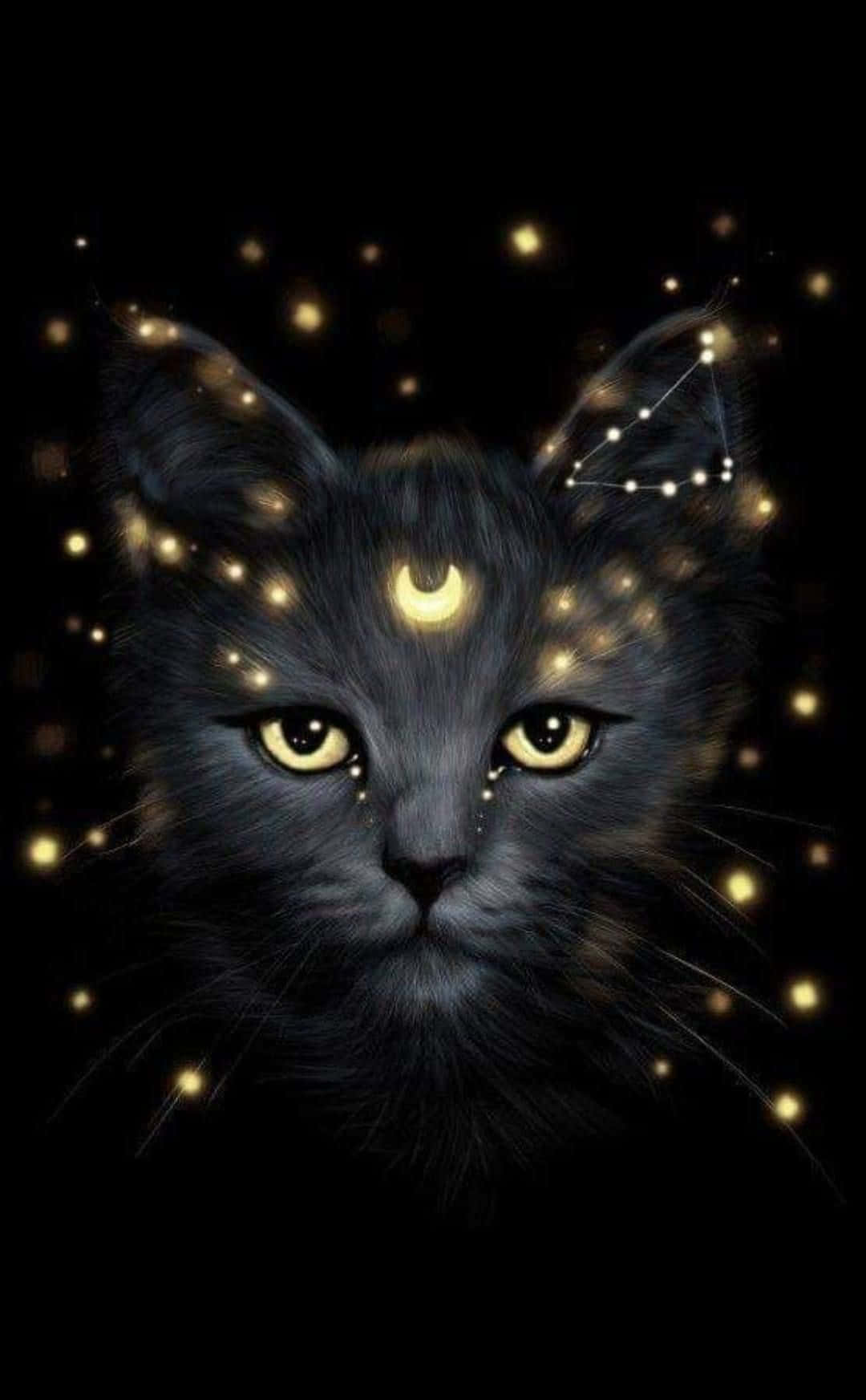 Venture Into the Universe na Galaxy Cat Picha ya Ukuta