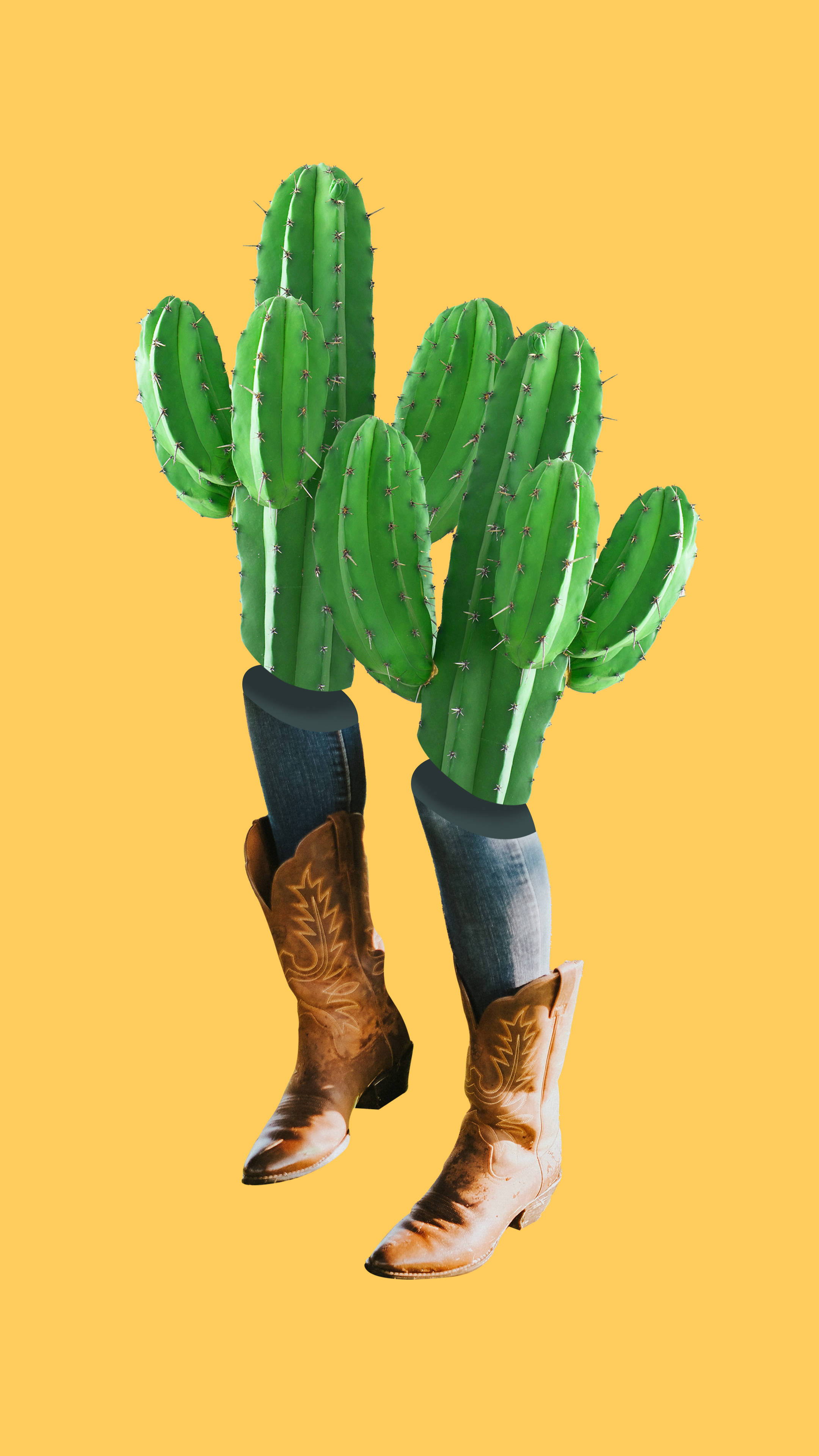 Viatu vya Cacti Mandhari ya Magharibi Picha ya Ukuta