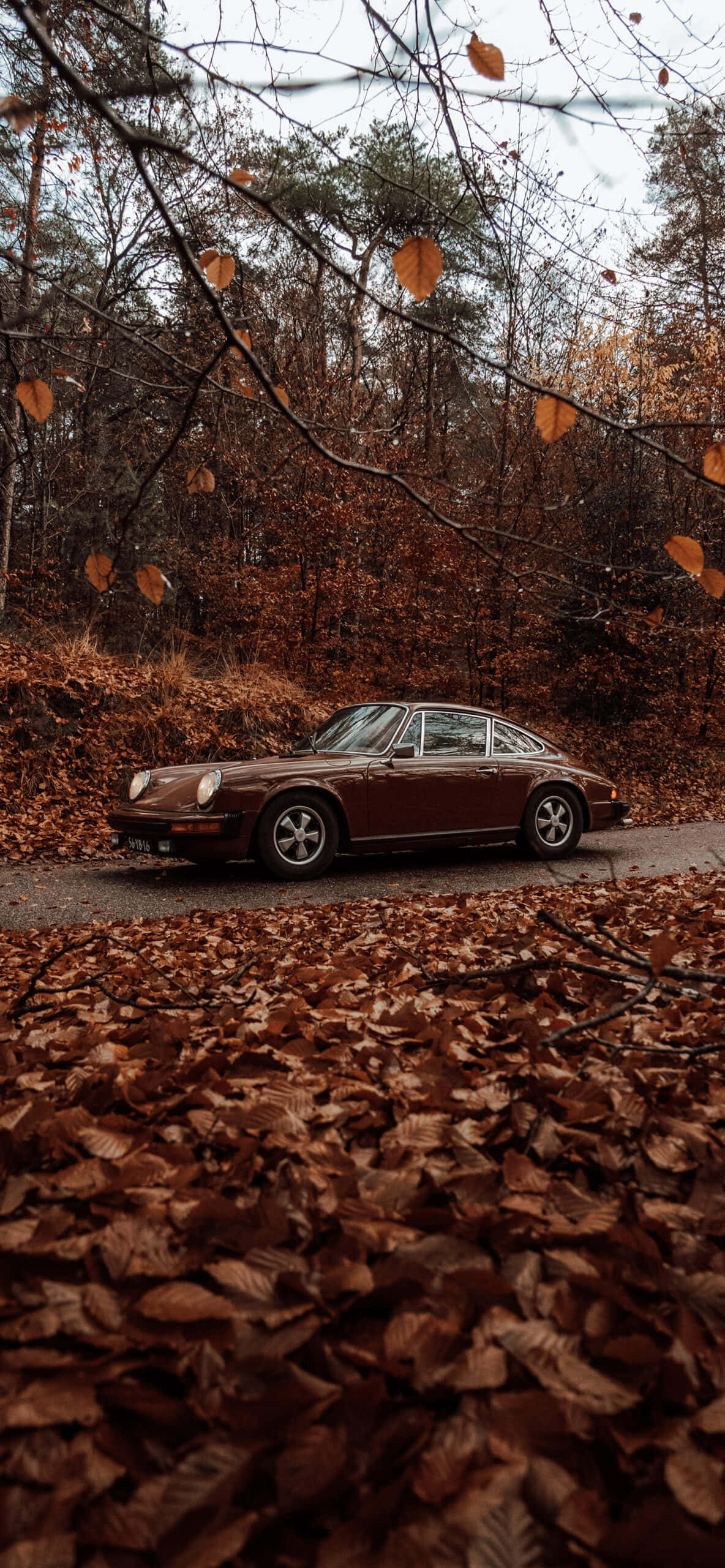 Vintage Aesthetic Fall Trees Car Picha ya Ukuta