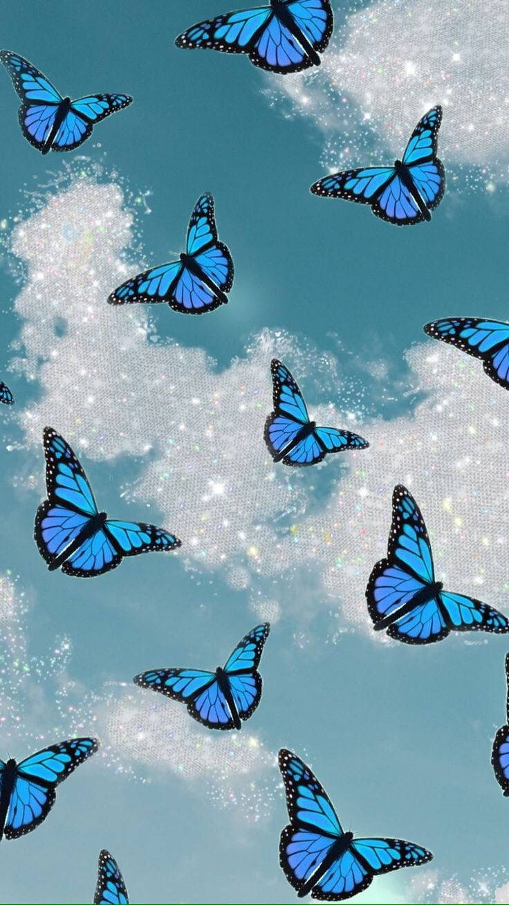 Vipepeo Wastani wa Bluu Sawa Picha ya Ukuta