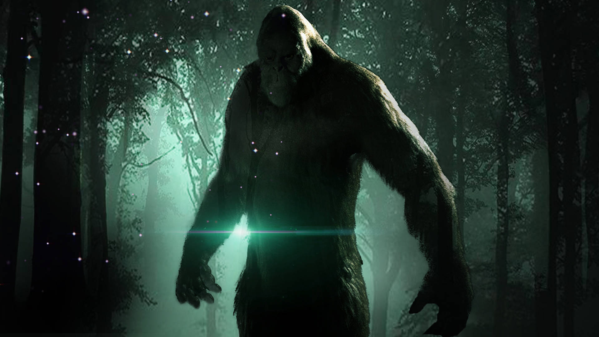 Vivuli vya Bigfoot Katika Msitu wa Kijani Picha ya Ukuta