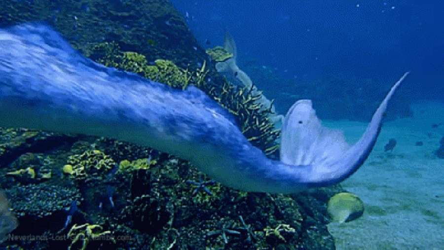 Vizuri vya Mermaid Vinavyozunguka Chini ya Bahari ya Bluu Picha ya Ukuta