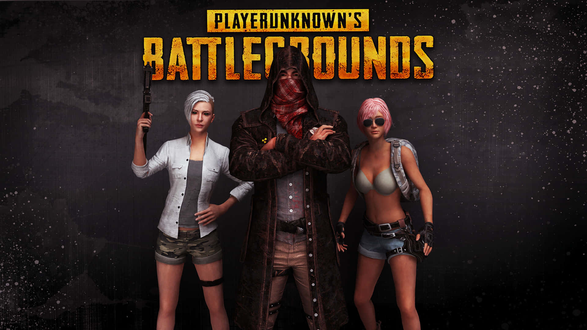 Wahusika wa Player Unknown Battlegrounds kwenye Mandharinyuma Nyeusi Picha ya Ukuta