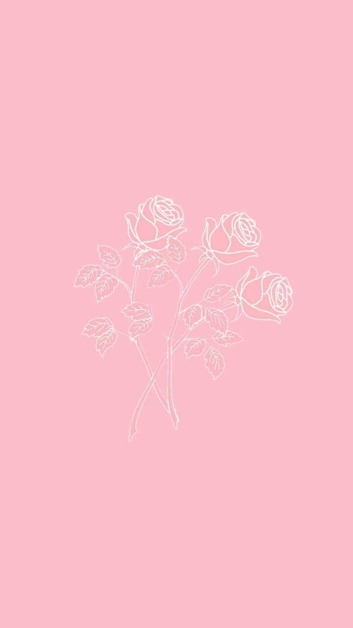 Waridi la Pink Aesthetic la iPhone Picha ya Ukuta