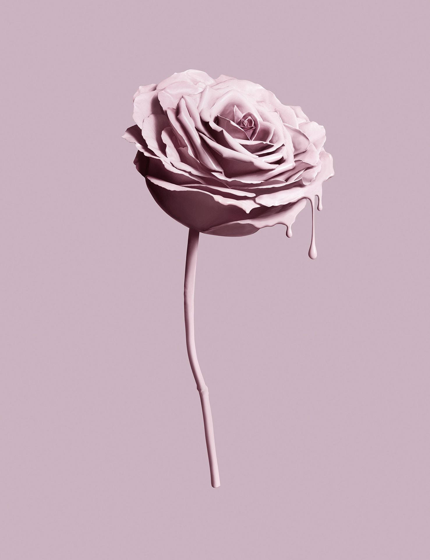 Waridi la Pinki Aesthetic ya Tumblr Picha ya Ukuta