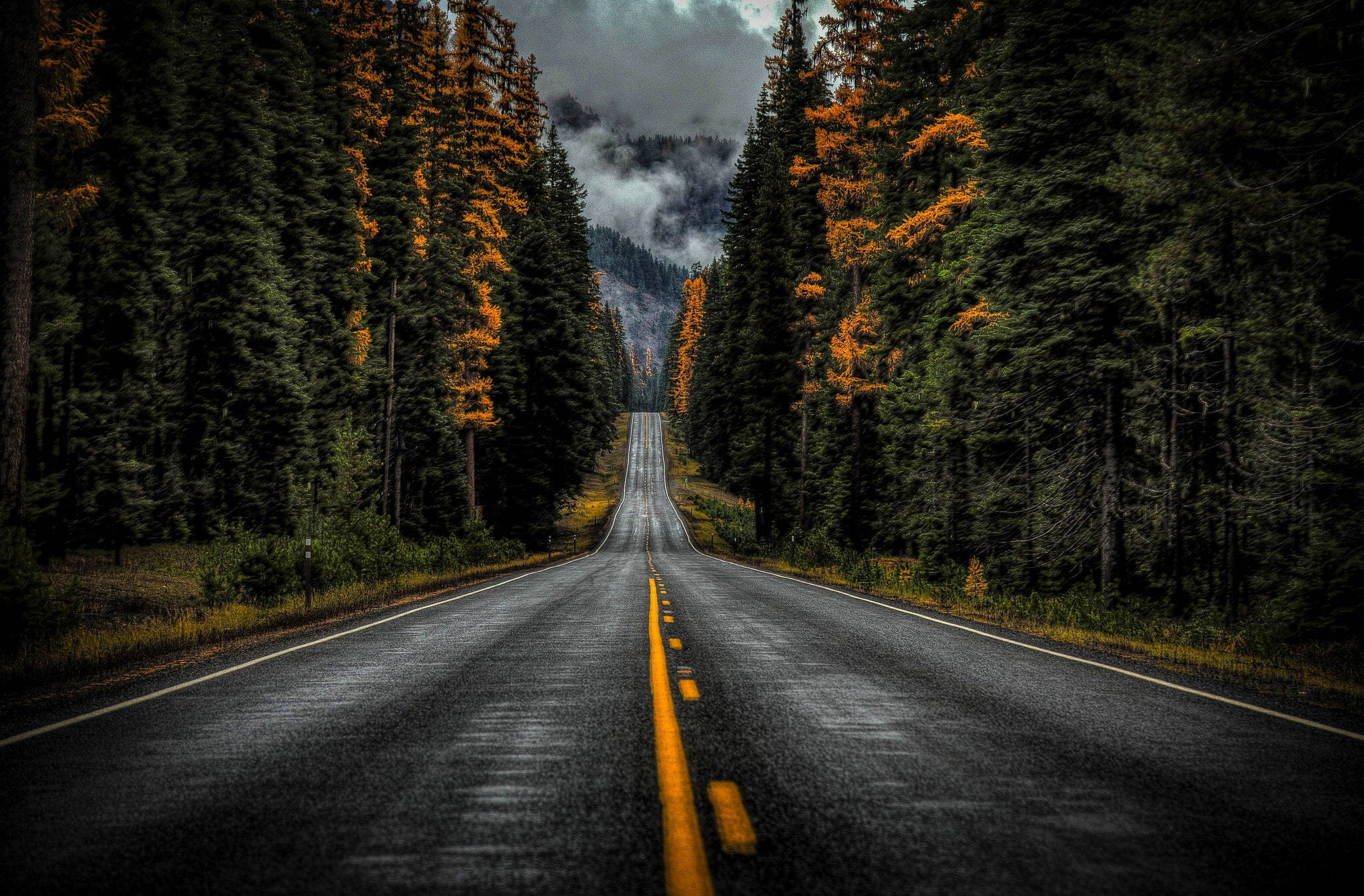 Washington State Route 410 Picha ya Ukuta