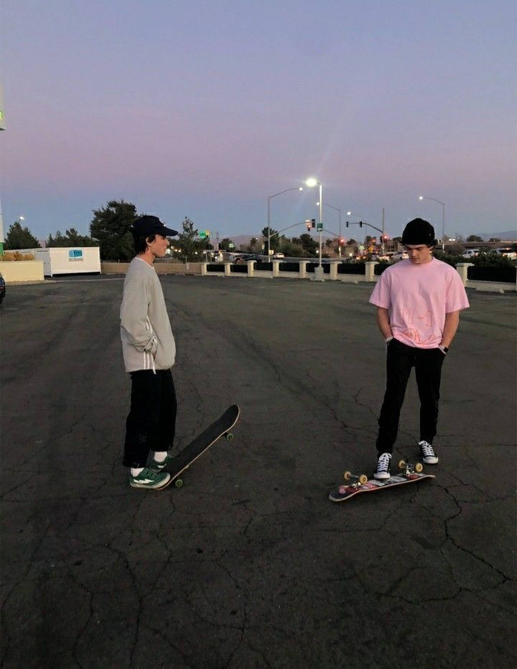 Wawili Wana Skate Aesthetic Picha ya Ukuta