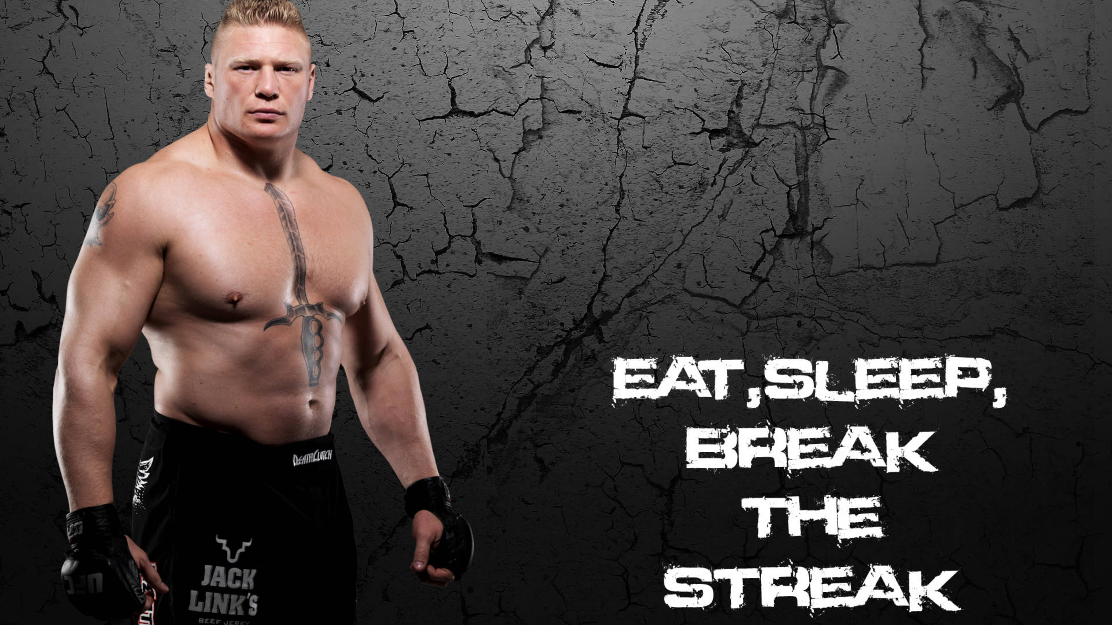 Wrestling Athlete With Quotes Picha ya Ukuta